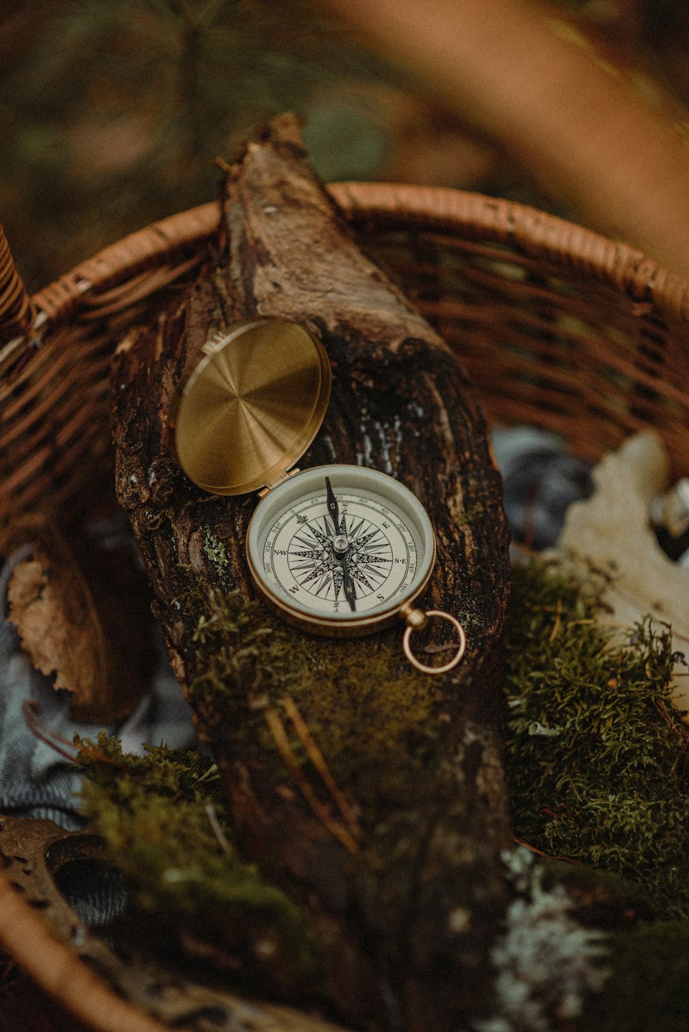 Un orologio su un albero