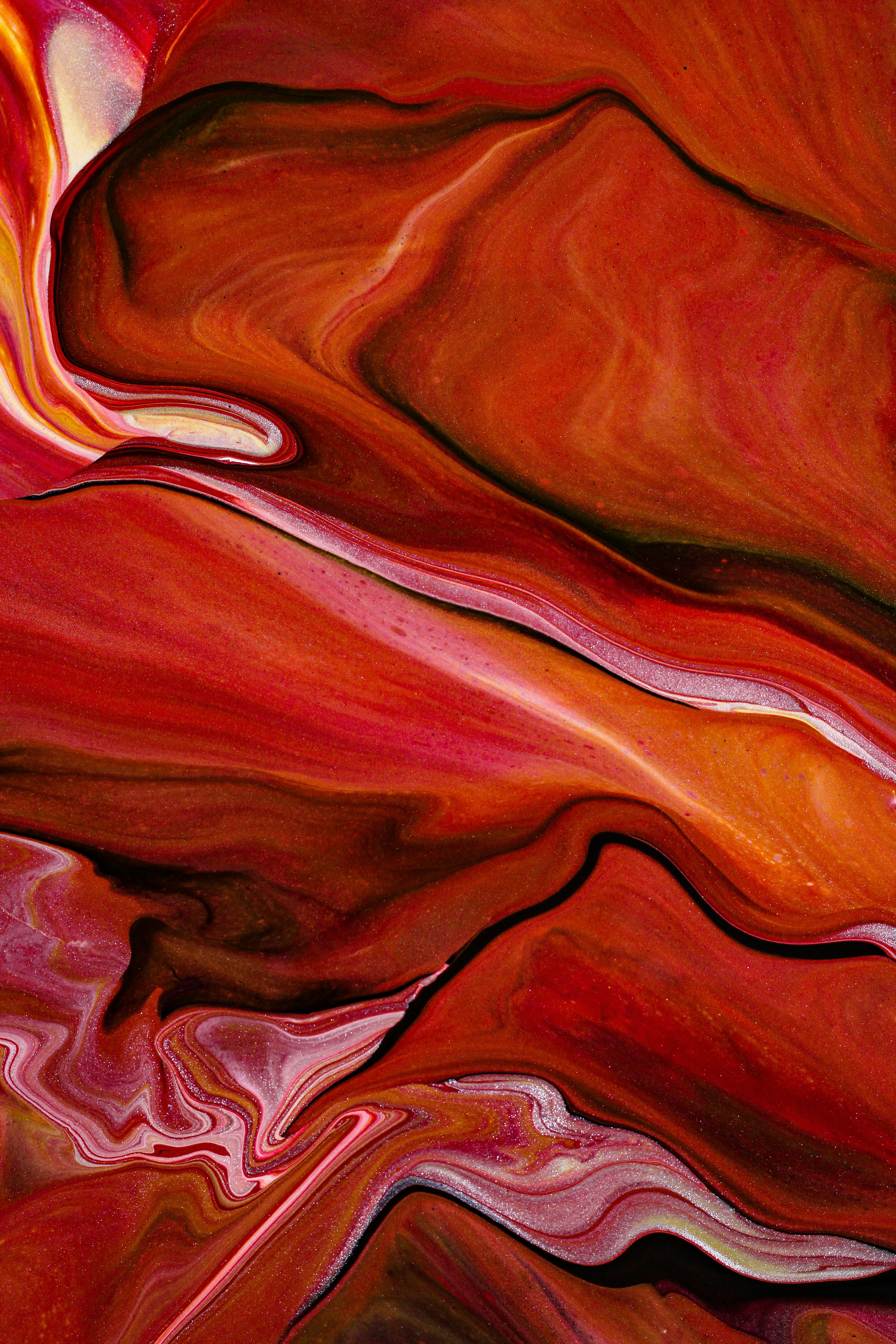 Photo by susan_wilkinson