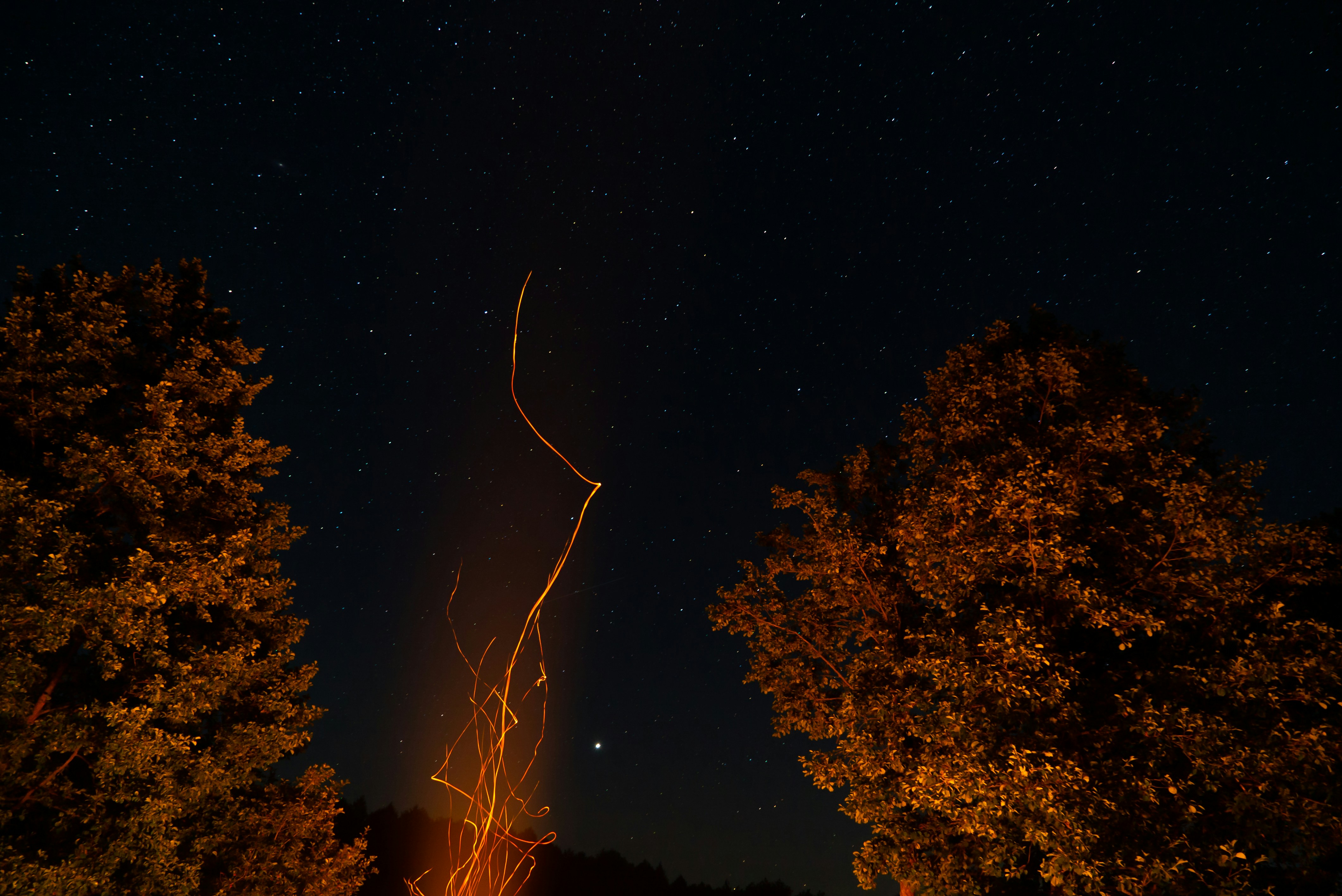 Campfire glowing warm orange in dark woodland clearing at night, sparks rising, silhouettes of trees against deep blue-black sky, stars barely visible