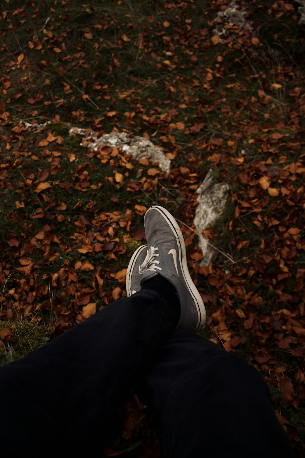 a person's feet on a rock in a forest