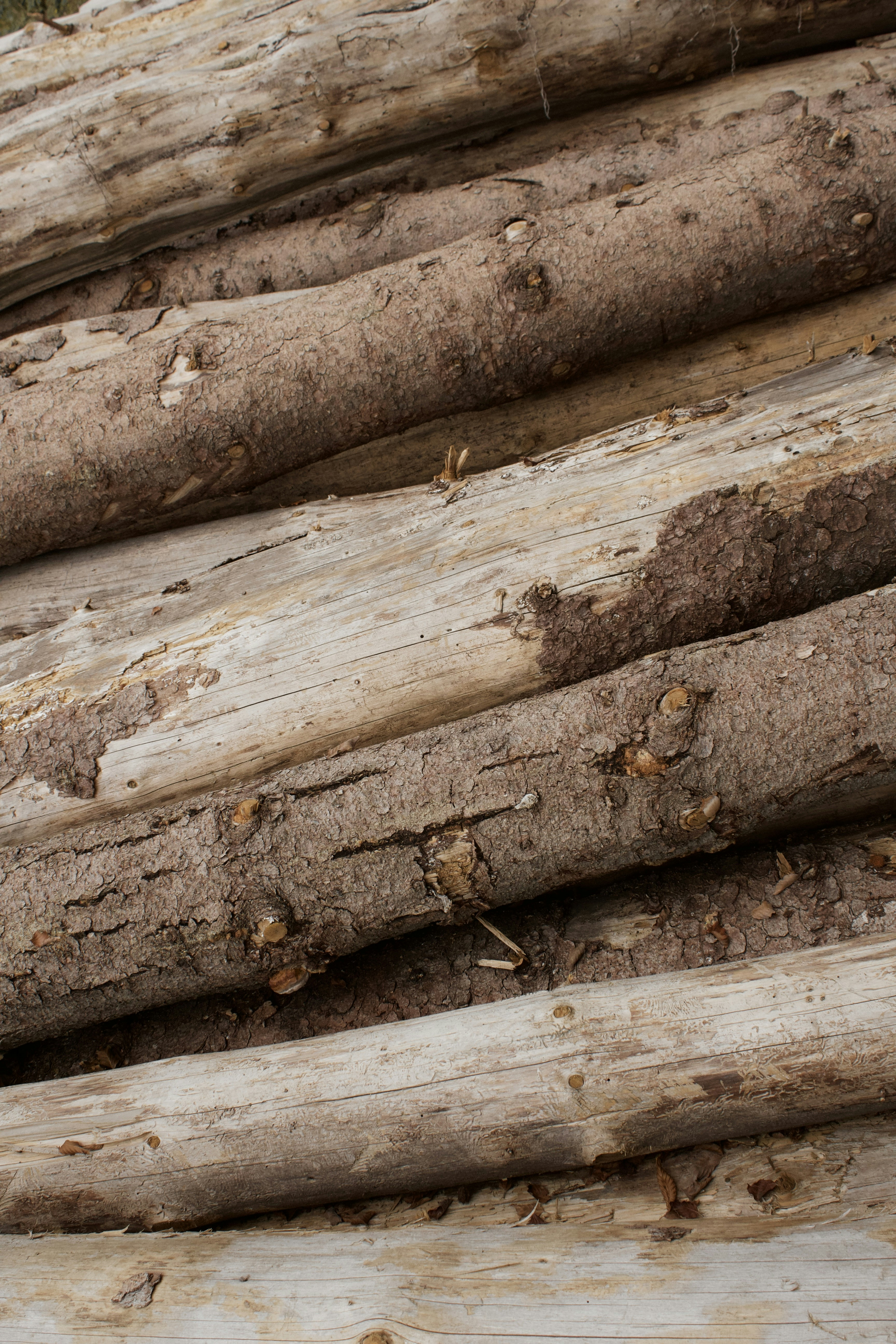 Photo by photosbyedoardo