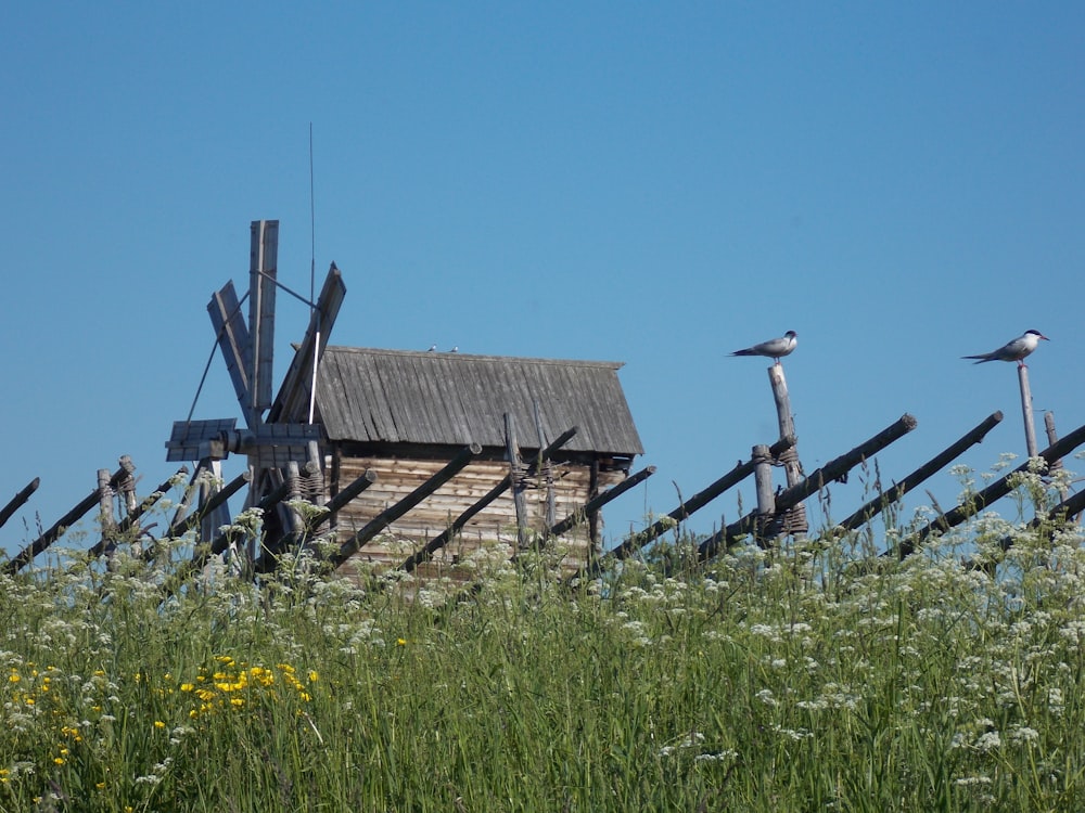 a wooden structure with birds on it