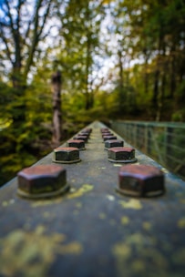 a group of rectangular objects on a concrete surface surrounded by trees