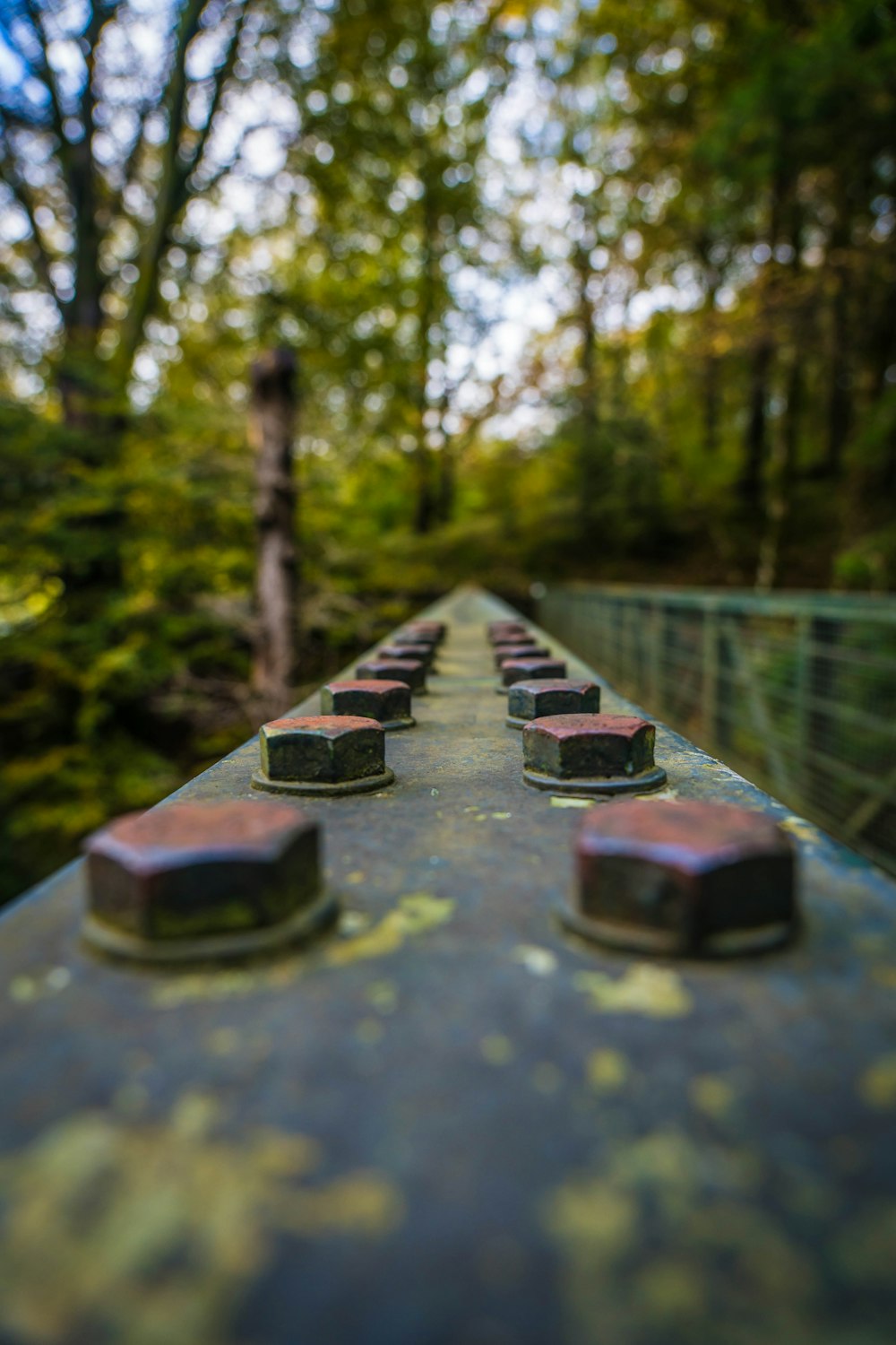 a group of rectangular objects on a concrete surface surrounded by trees