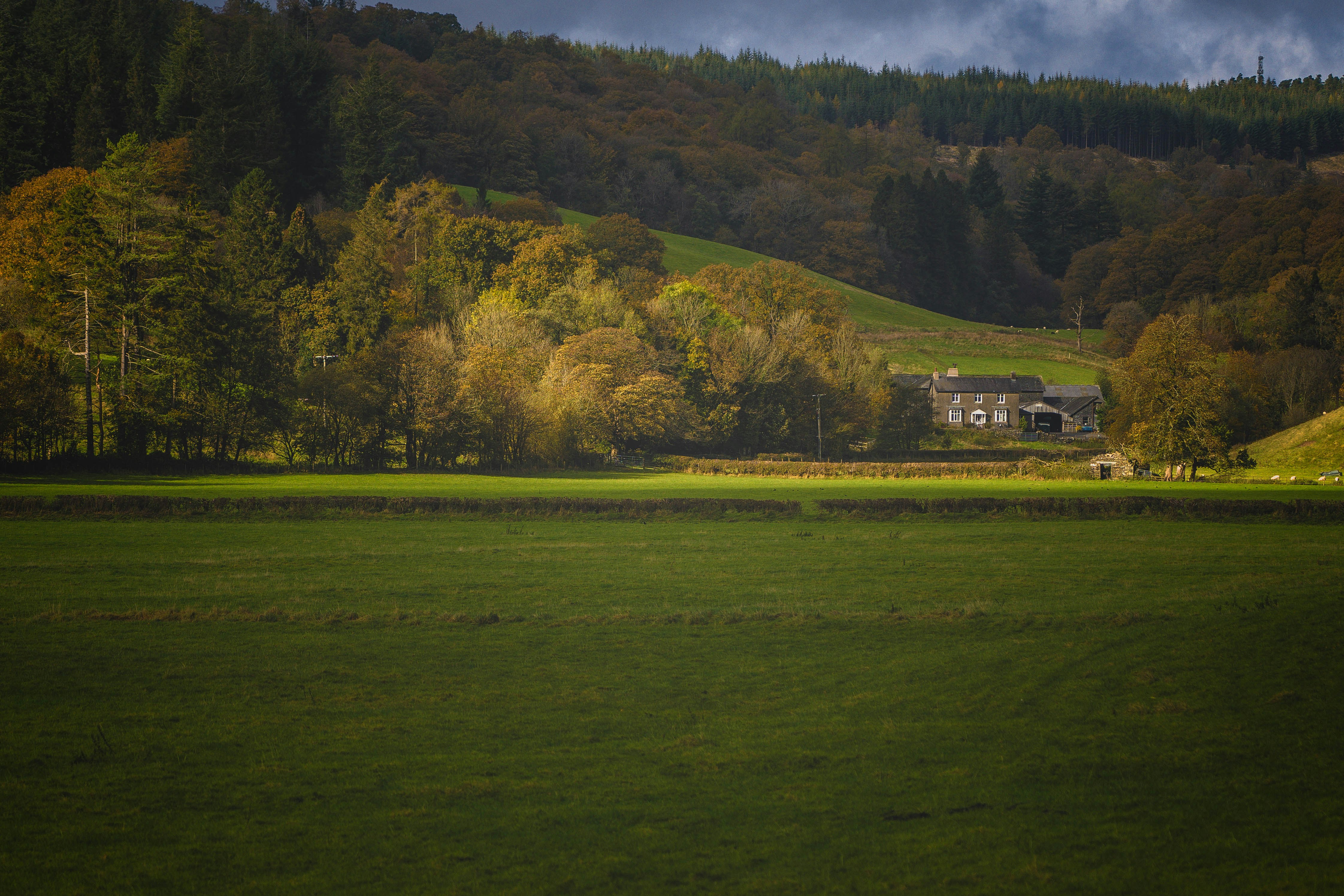 a large green field with trees and a house in the background