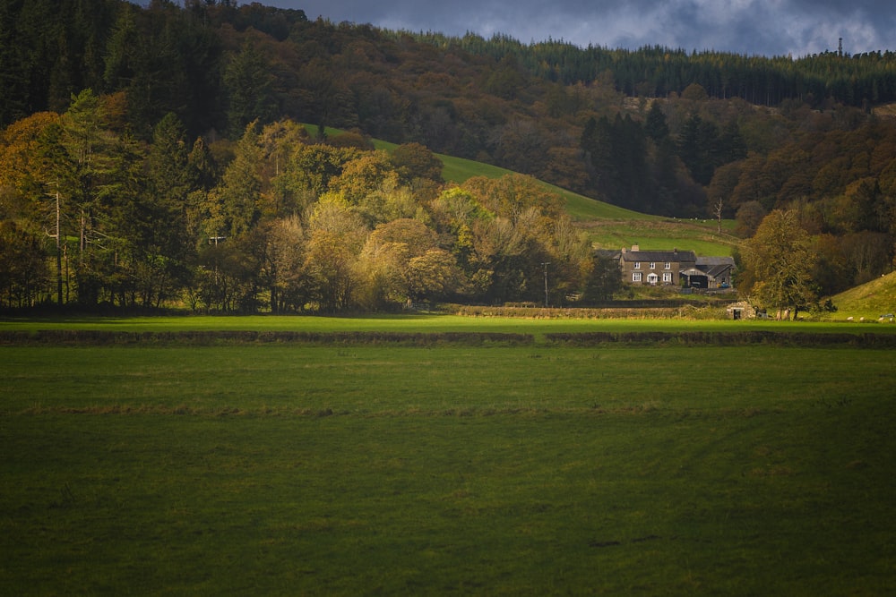 eine große grüne Wiese mit Bäumen und einem Haus im Hintergrund