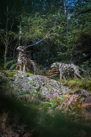 Two wolf sculptures made from natural materials blend into a forest environment. The sculptures are positioned on a rocky outcrop surrounded by dense foliage and tall trees. The intricate details of the sculptures mimic the texture and color of the forest, creating an illusion of living wolves. Ferns and moss cover the ground, adding to the natural aesthetics of the scene.