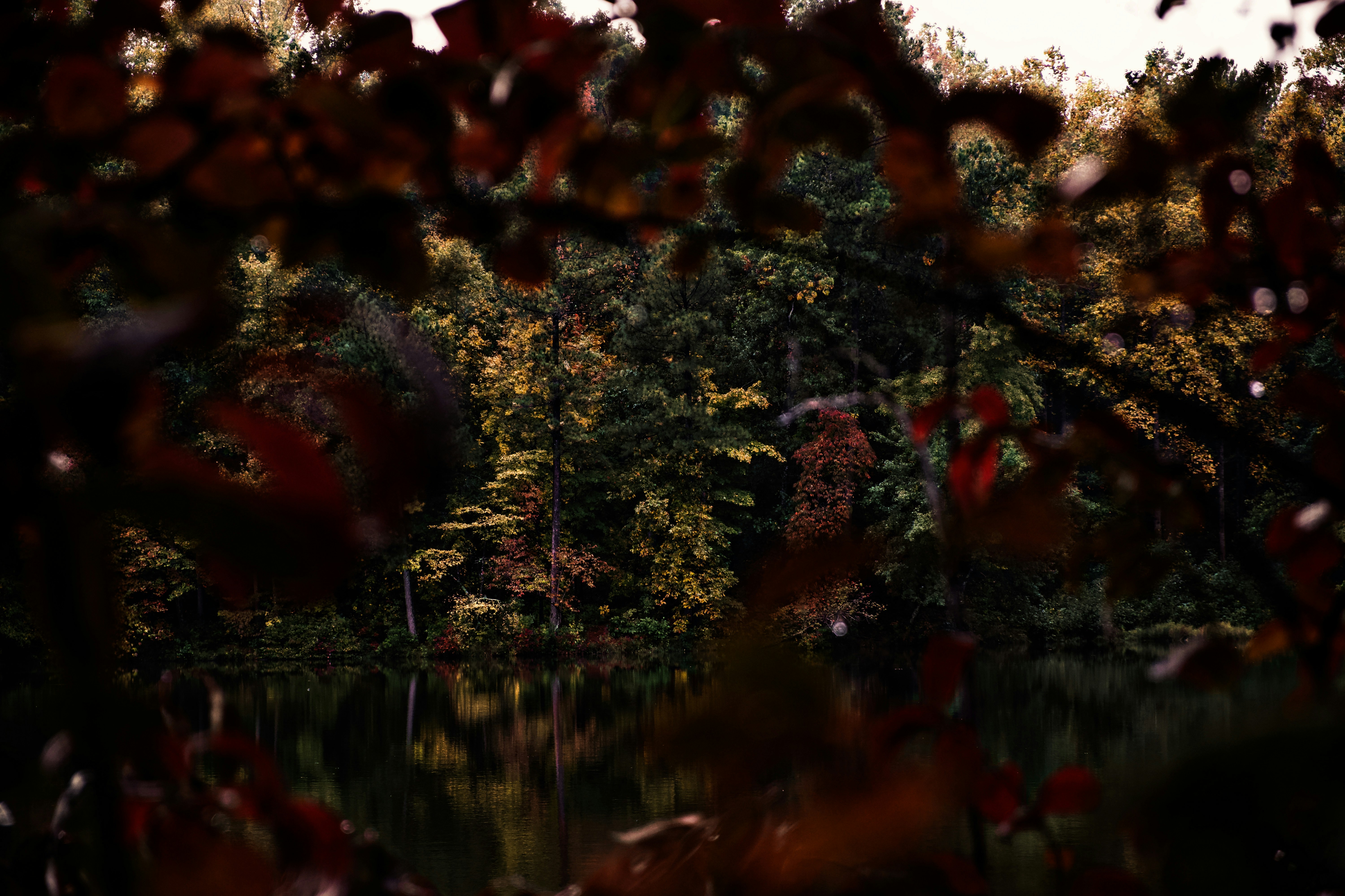 Photo by nikoflicksphotography