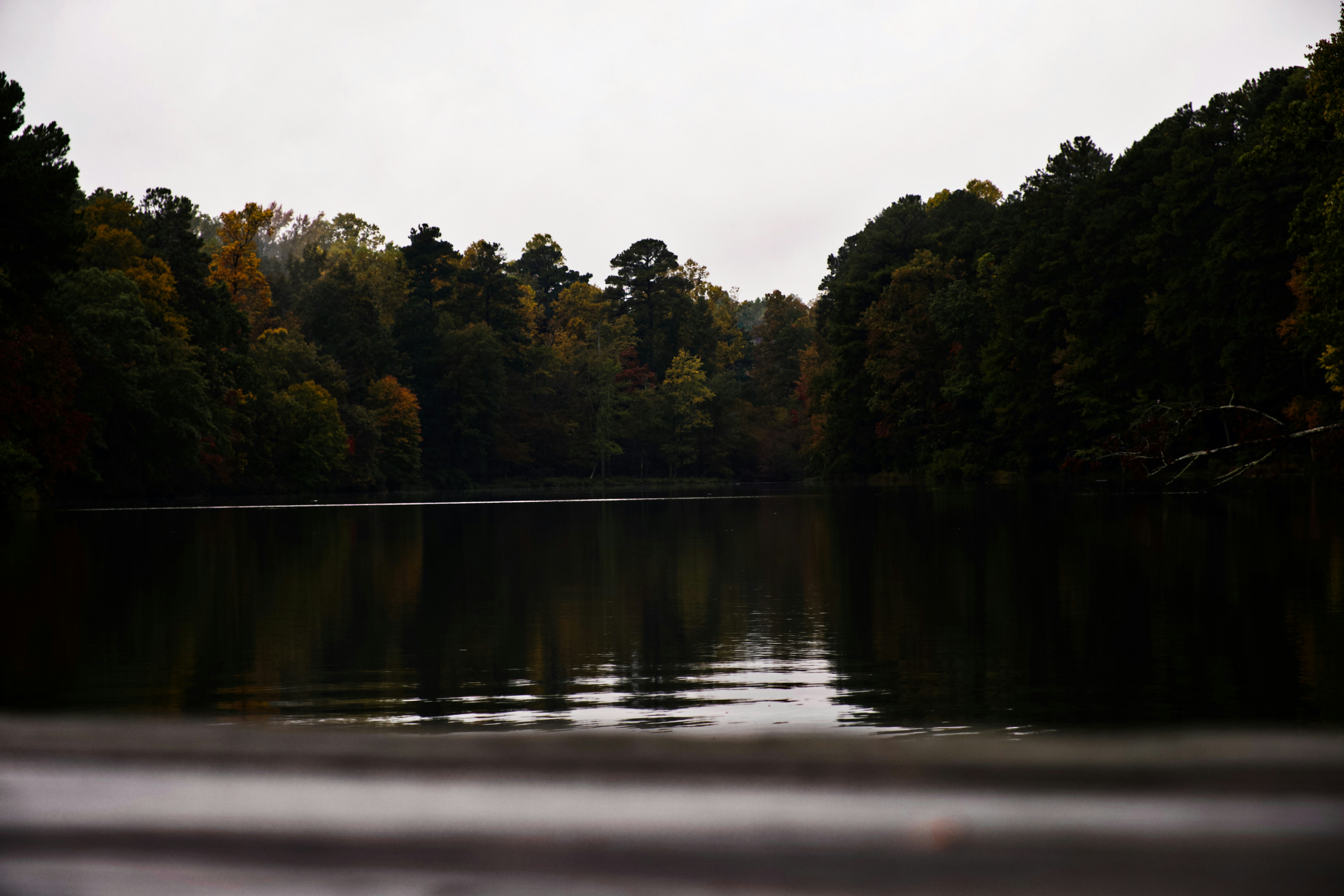 Photo by nikoflicksphotography