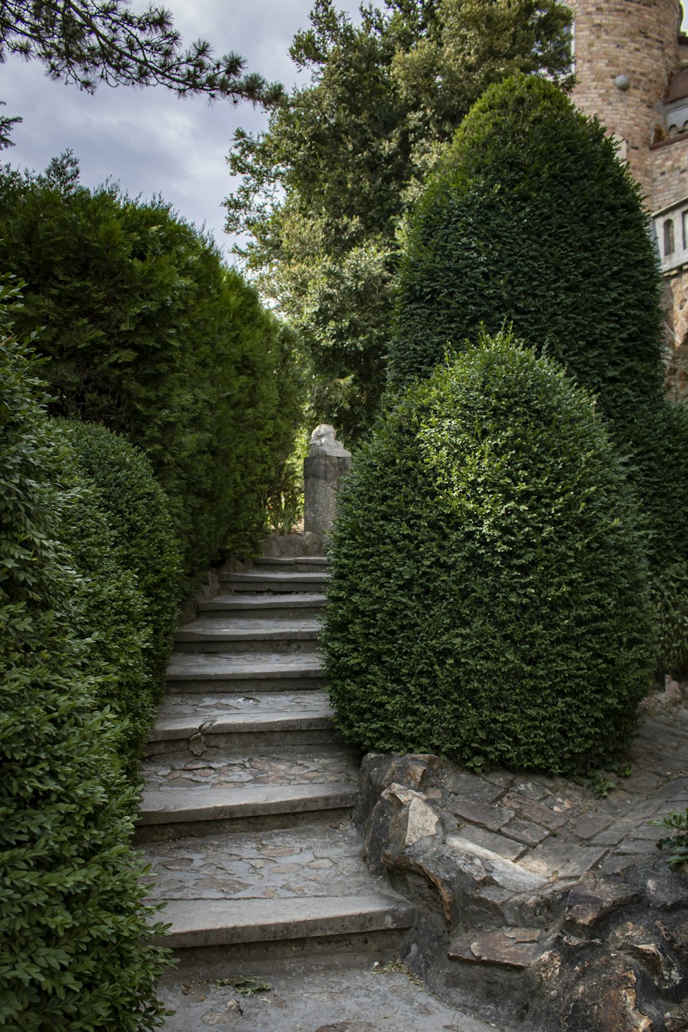a stone staircase with bushes on either side of it