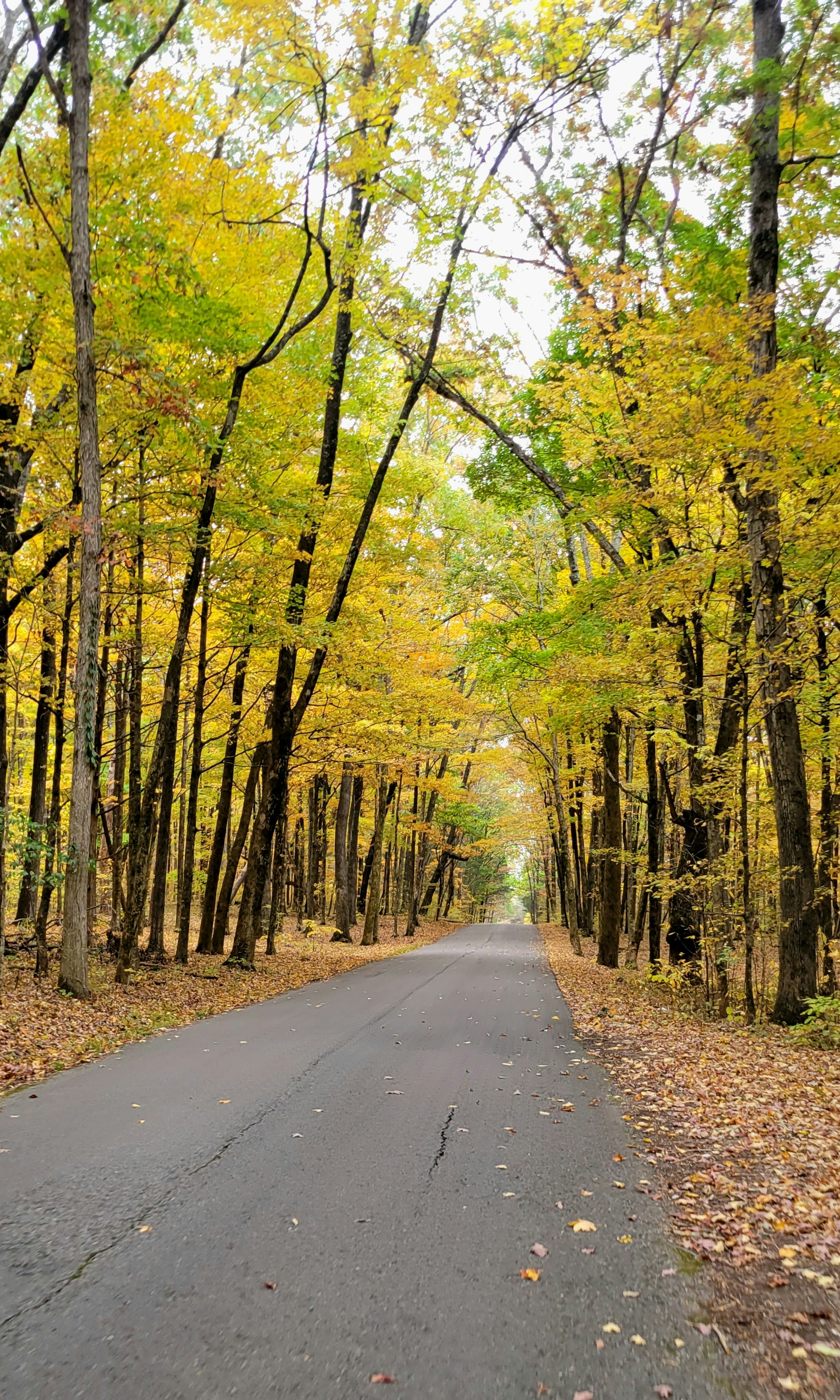 Photo by sierra_williams00