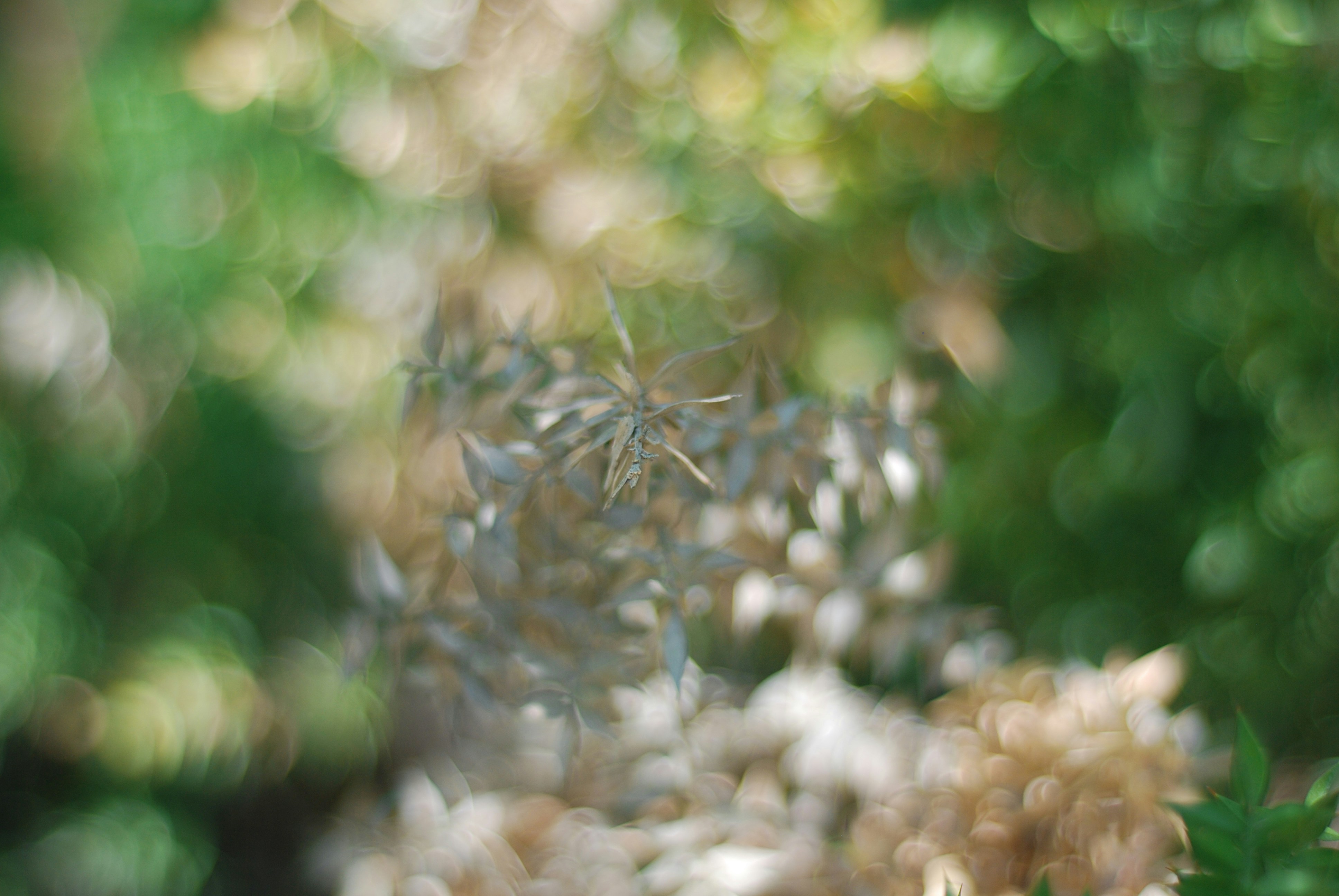 Photo by kovalskihelga