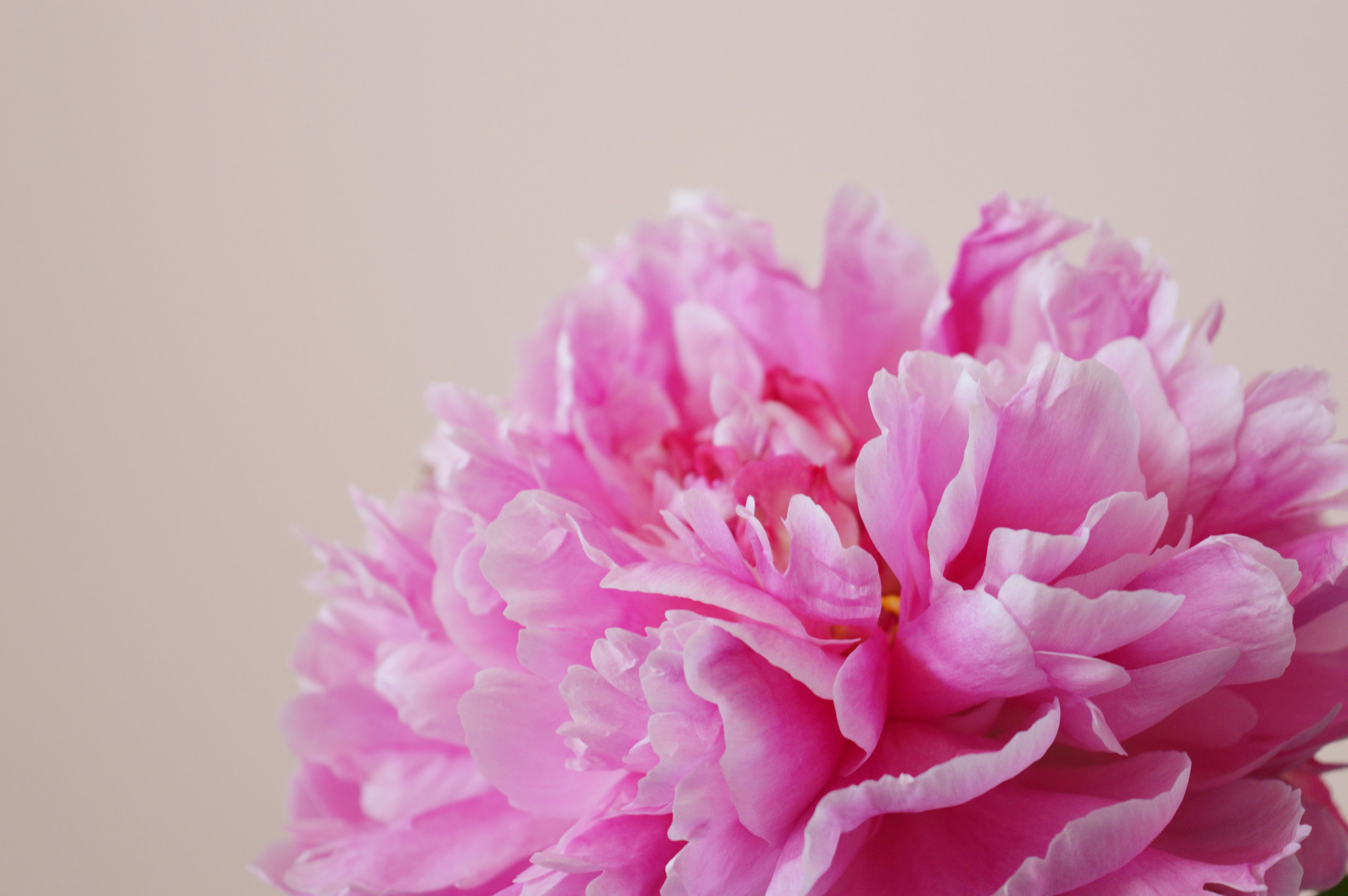 Photo by marianikolova