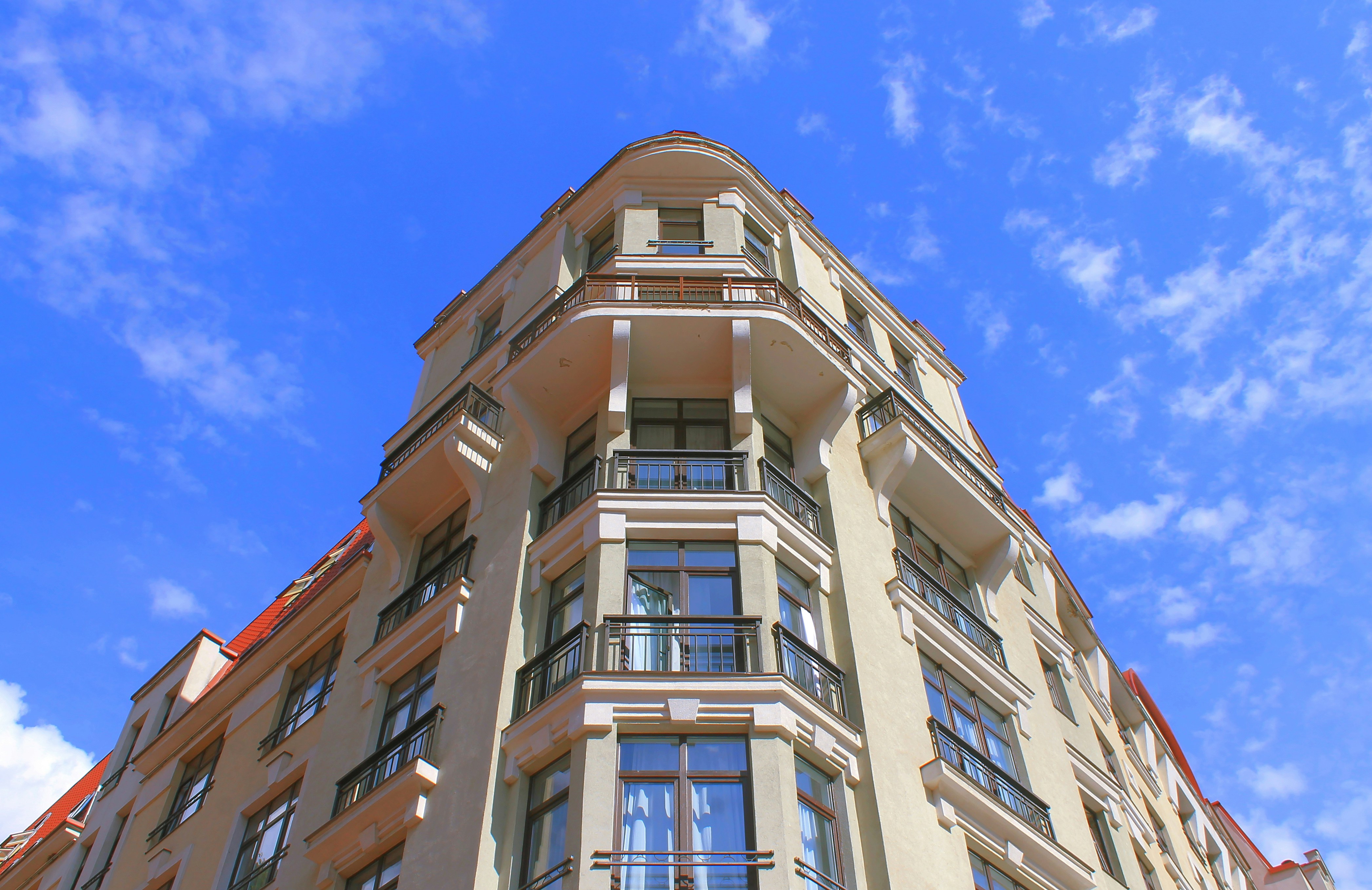 Photo by dragoncy635