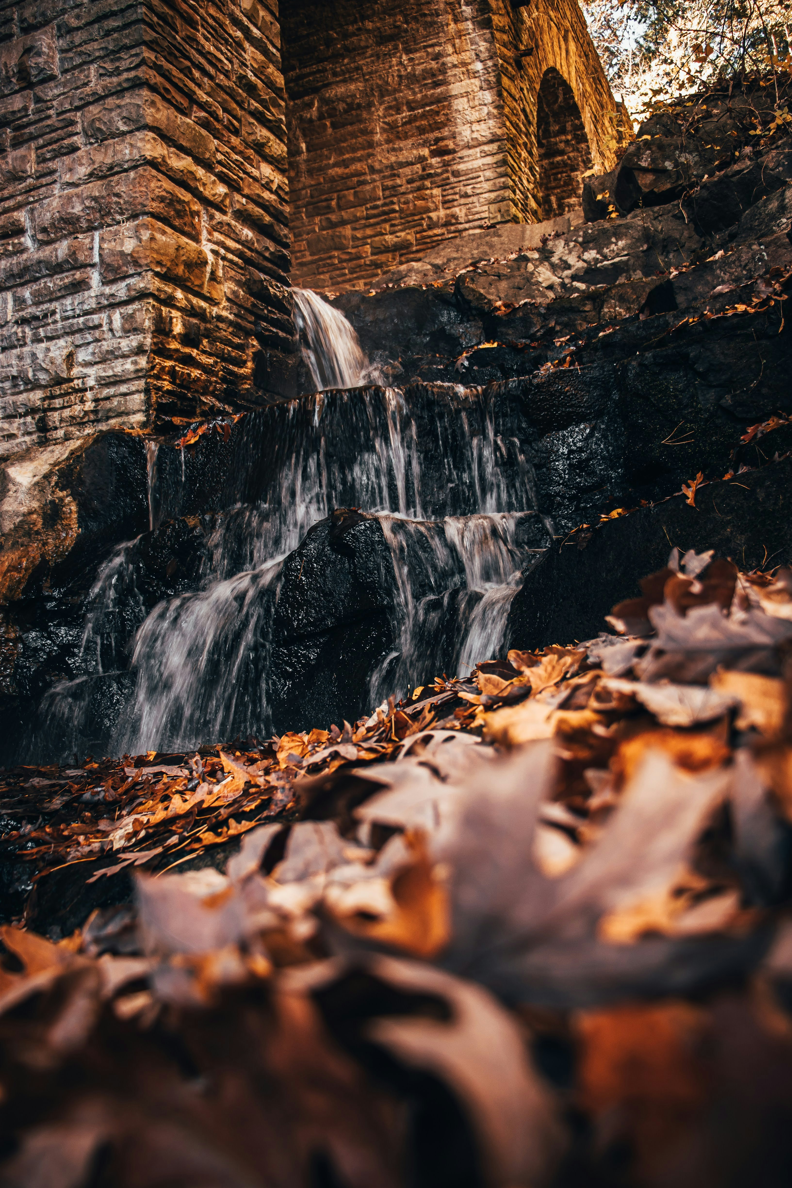 Photo by brice_cooper18