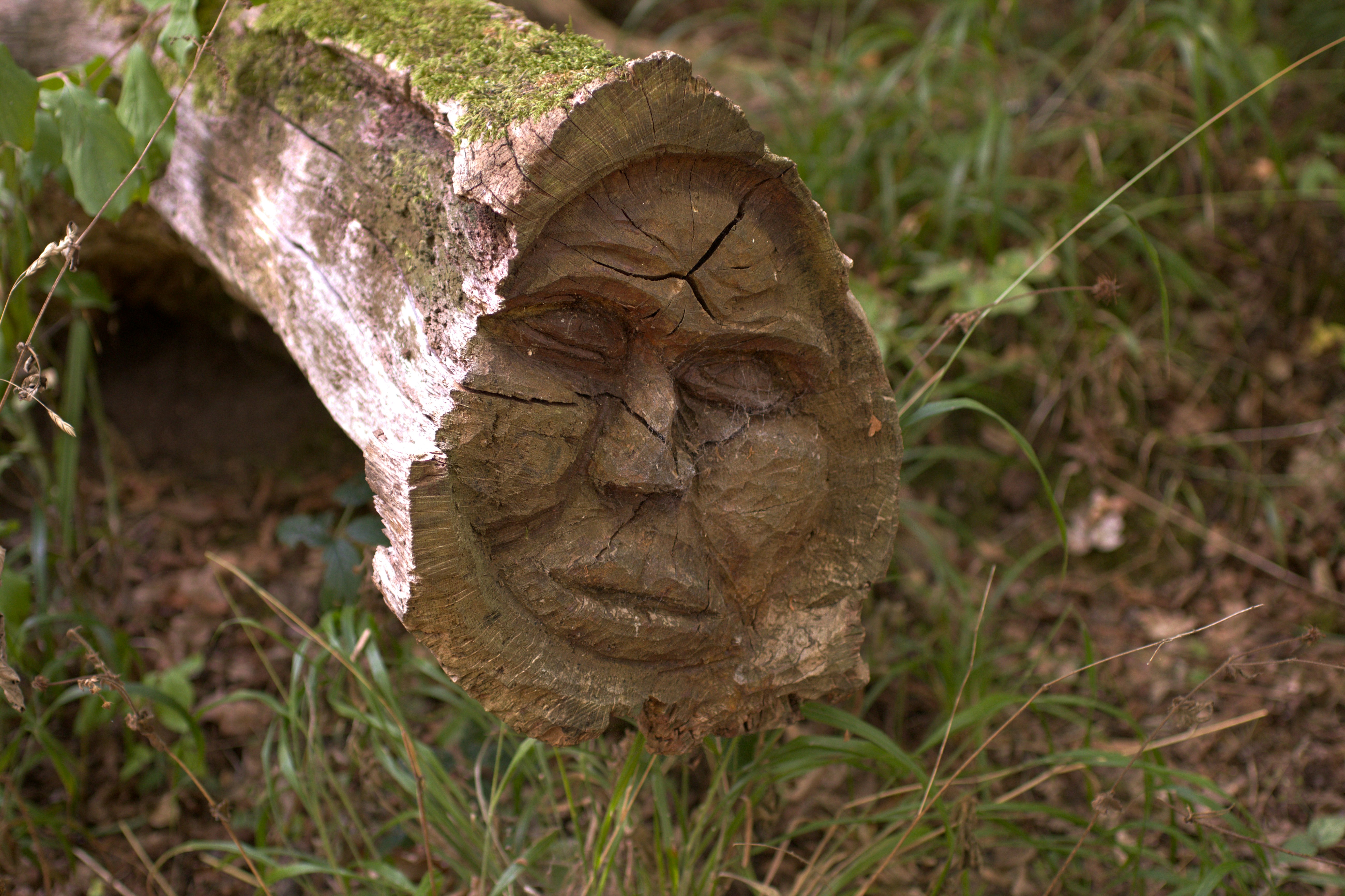 wood carving nature, wallpaper, Bushcraft Wood Carving: Skills for Camp & Wilderness 2
