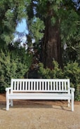 a bench in front of a tree