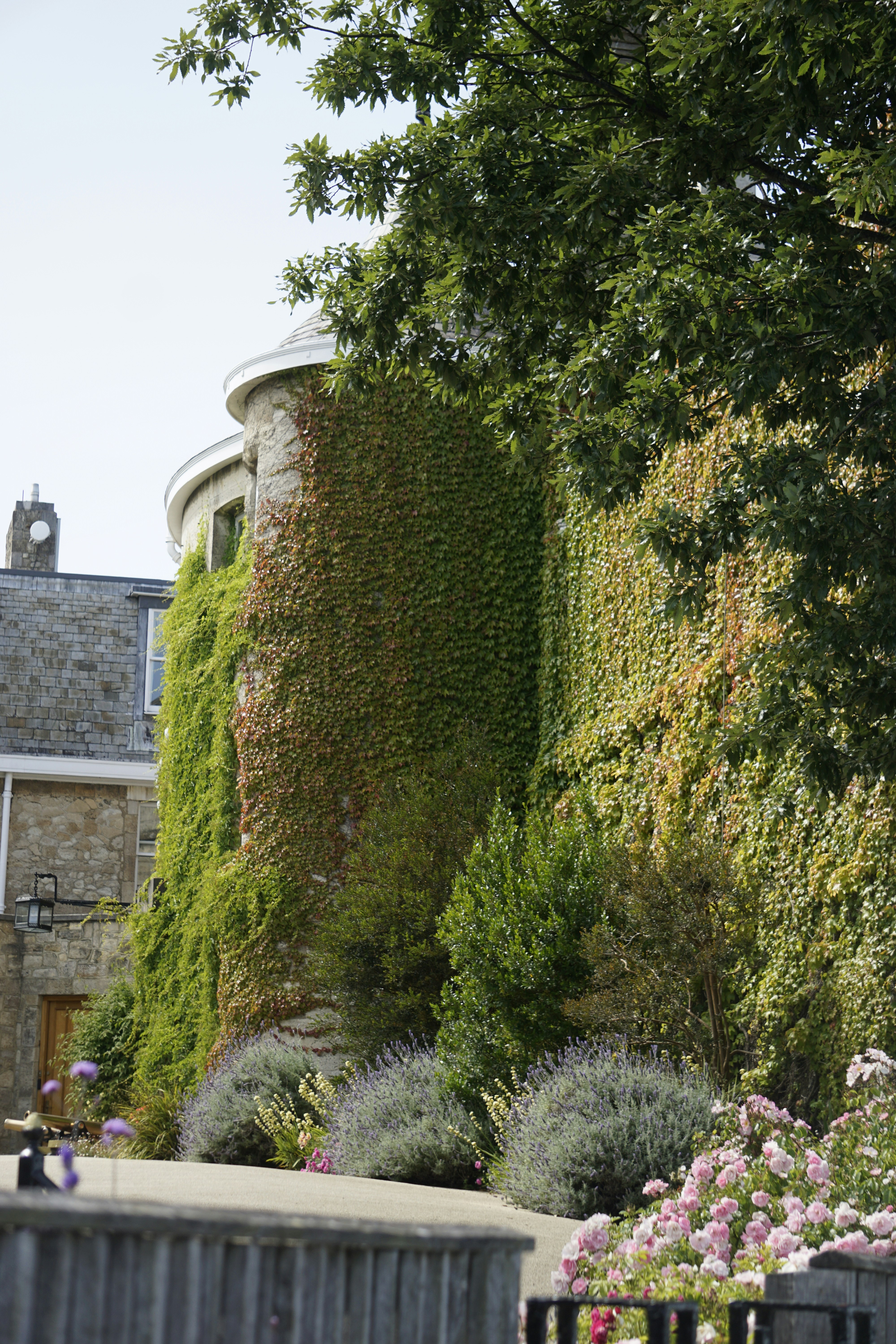 Photo by elinpictures