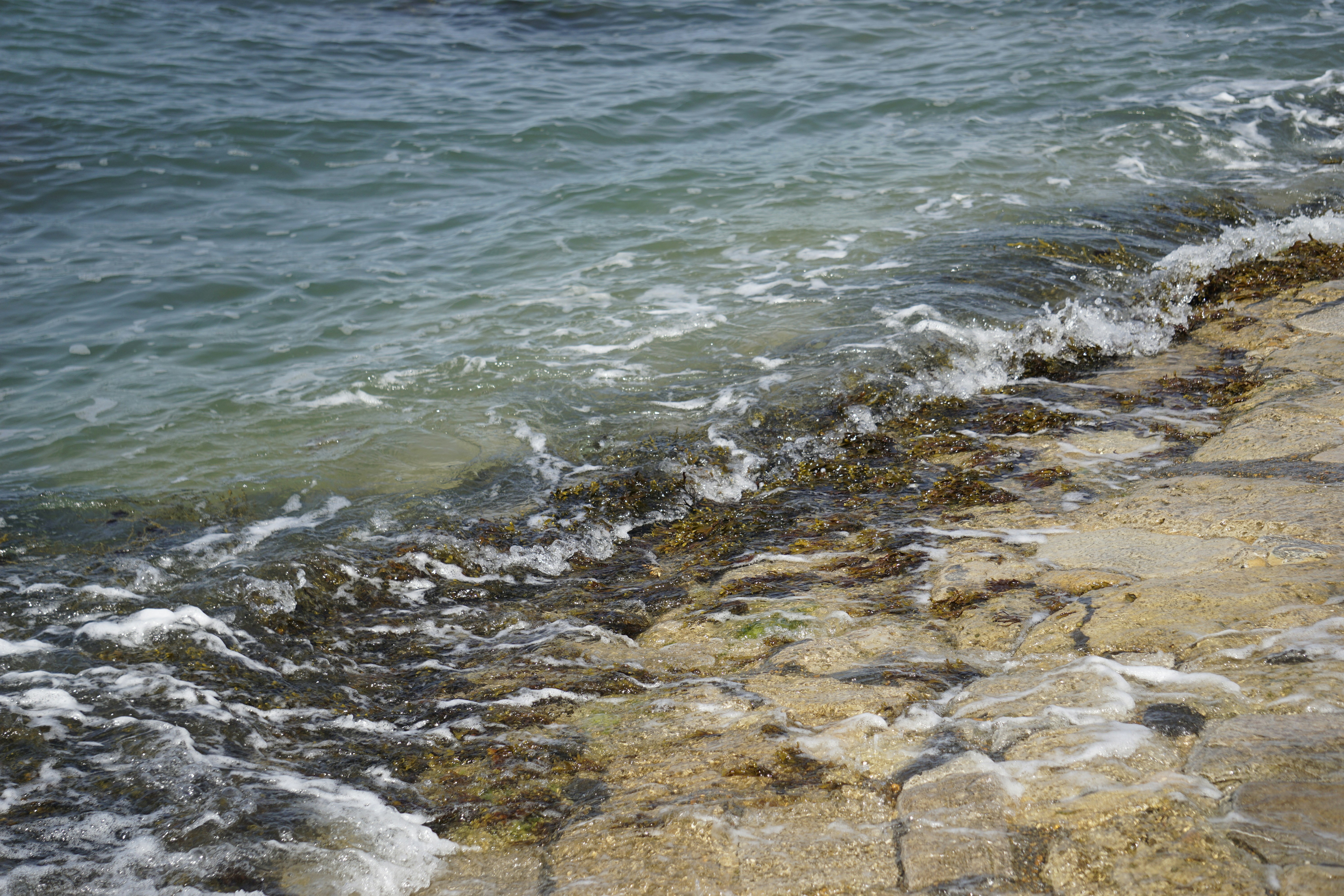 Photo by elinpictures