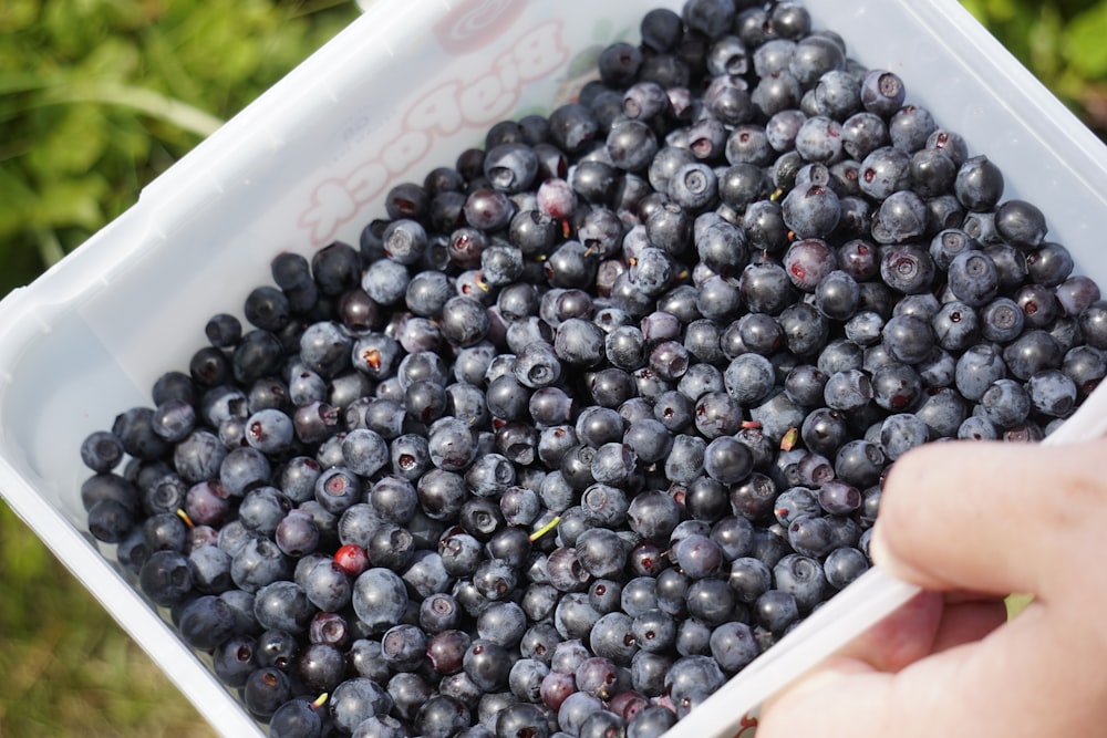 a hand holding a bunch of blackberries