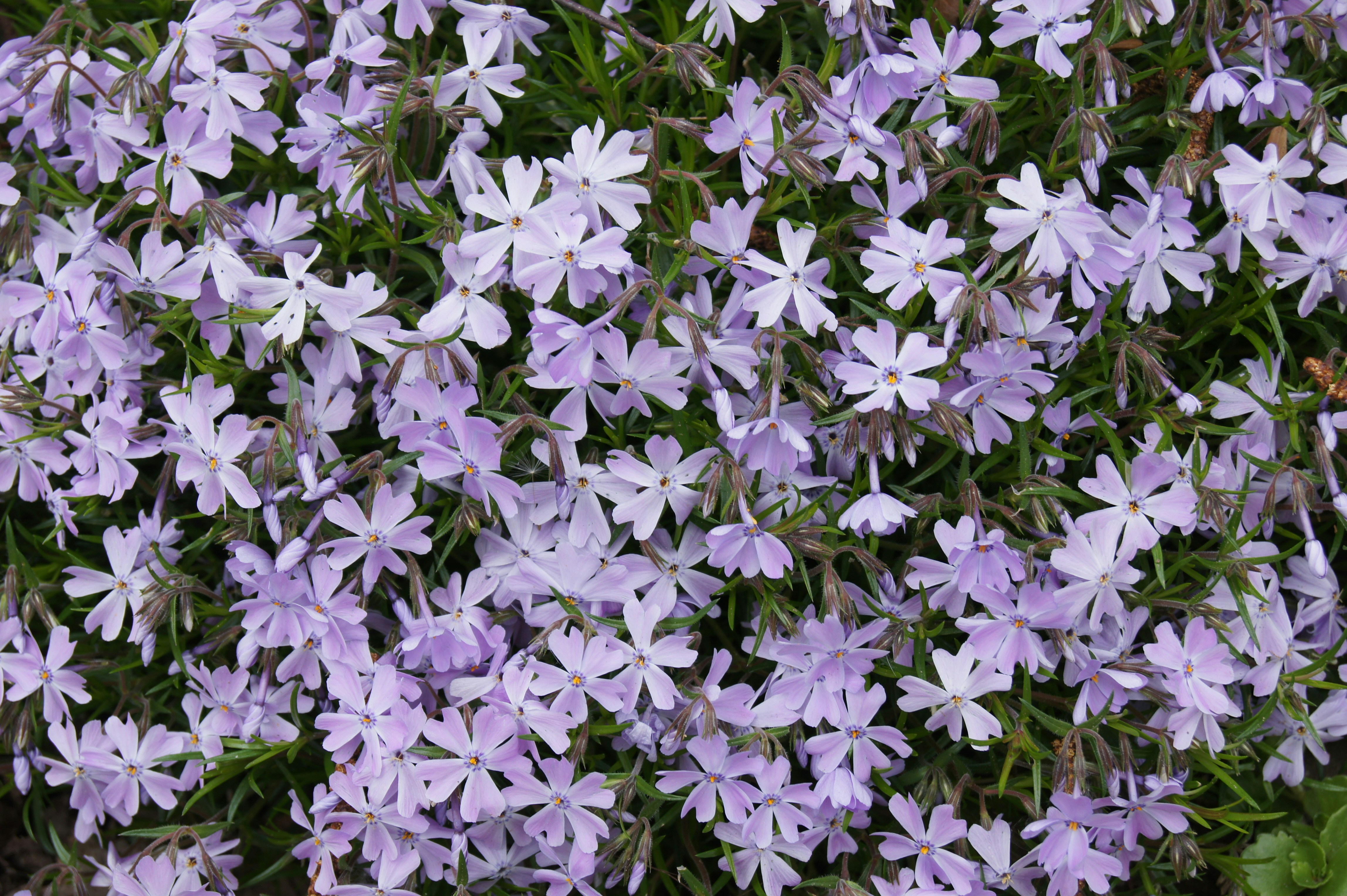 Photo by gruebeart_01