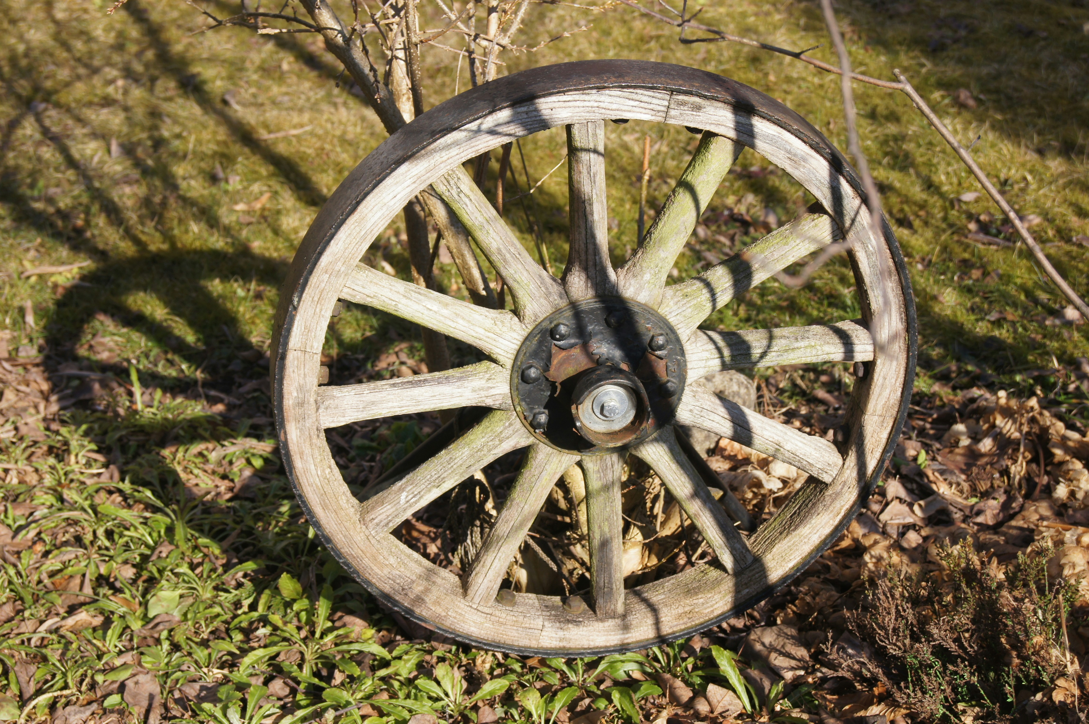 Photo by gruebeart_01