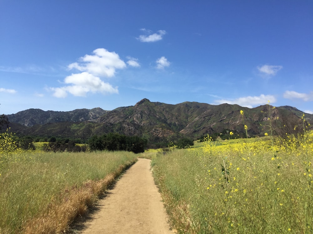 a dirt road leading to a mountain