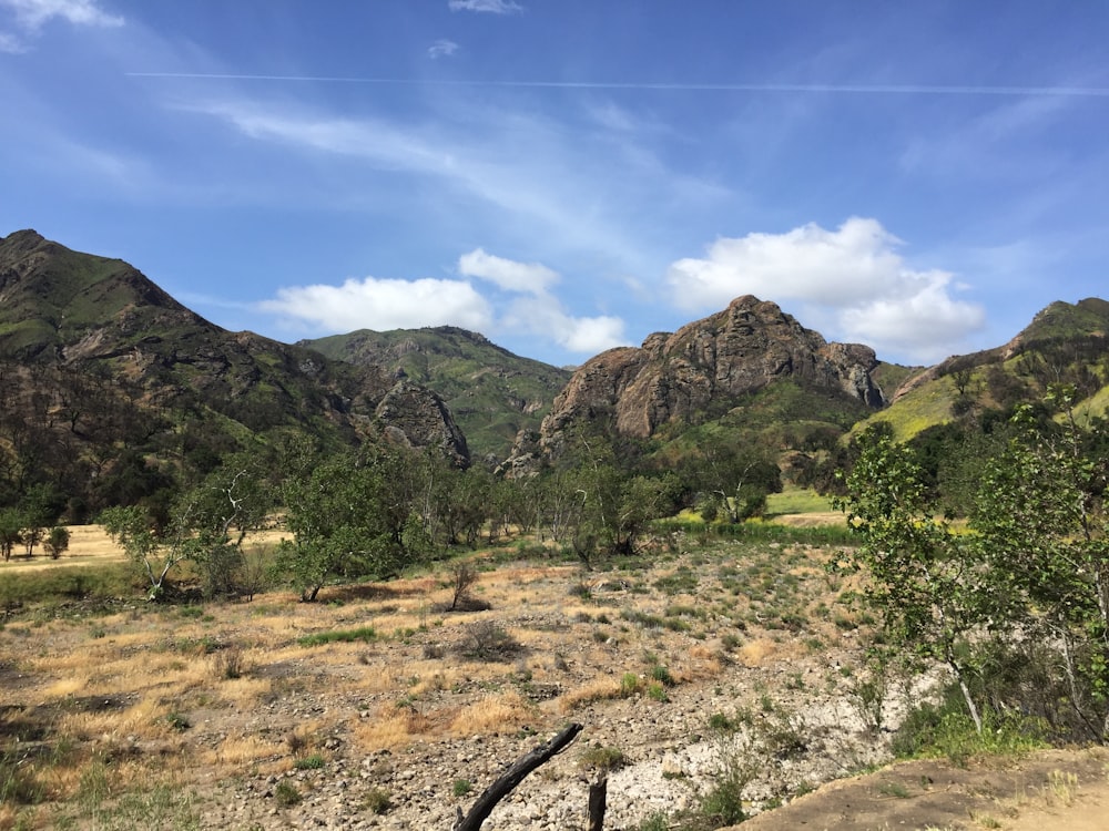 a landscape with hills and trees