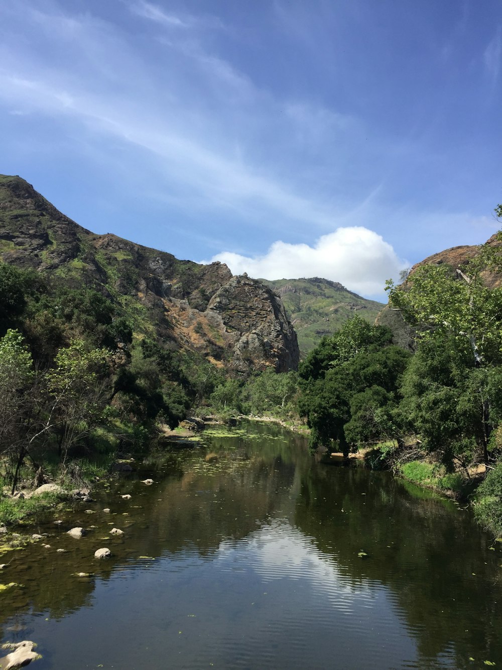 a river with trees and mountains in the background