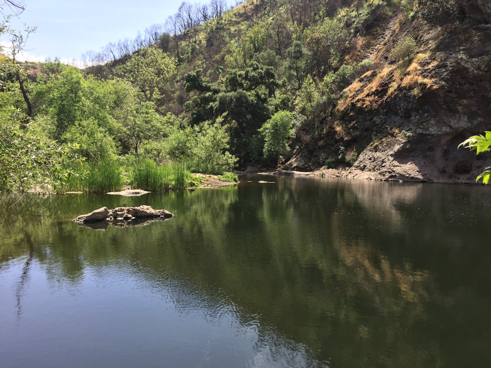 a body of water with trees and rocks around it