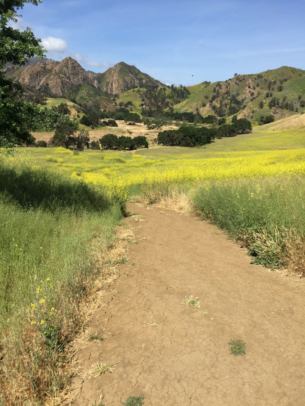 a dirt road in a field