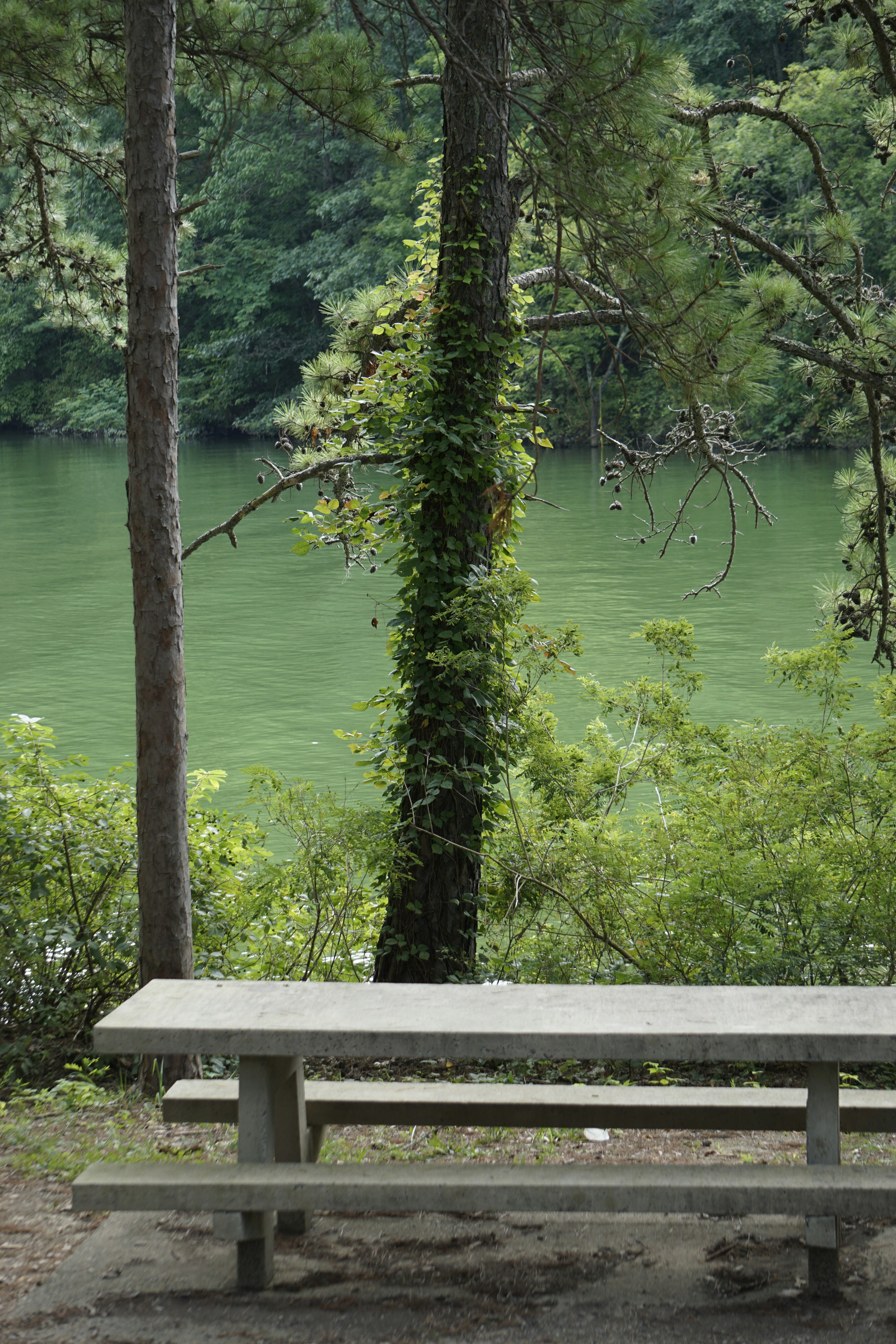 Photo by elinpictures