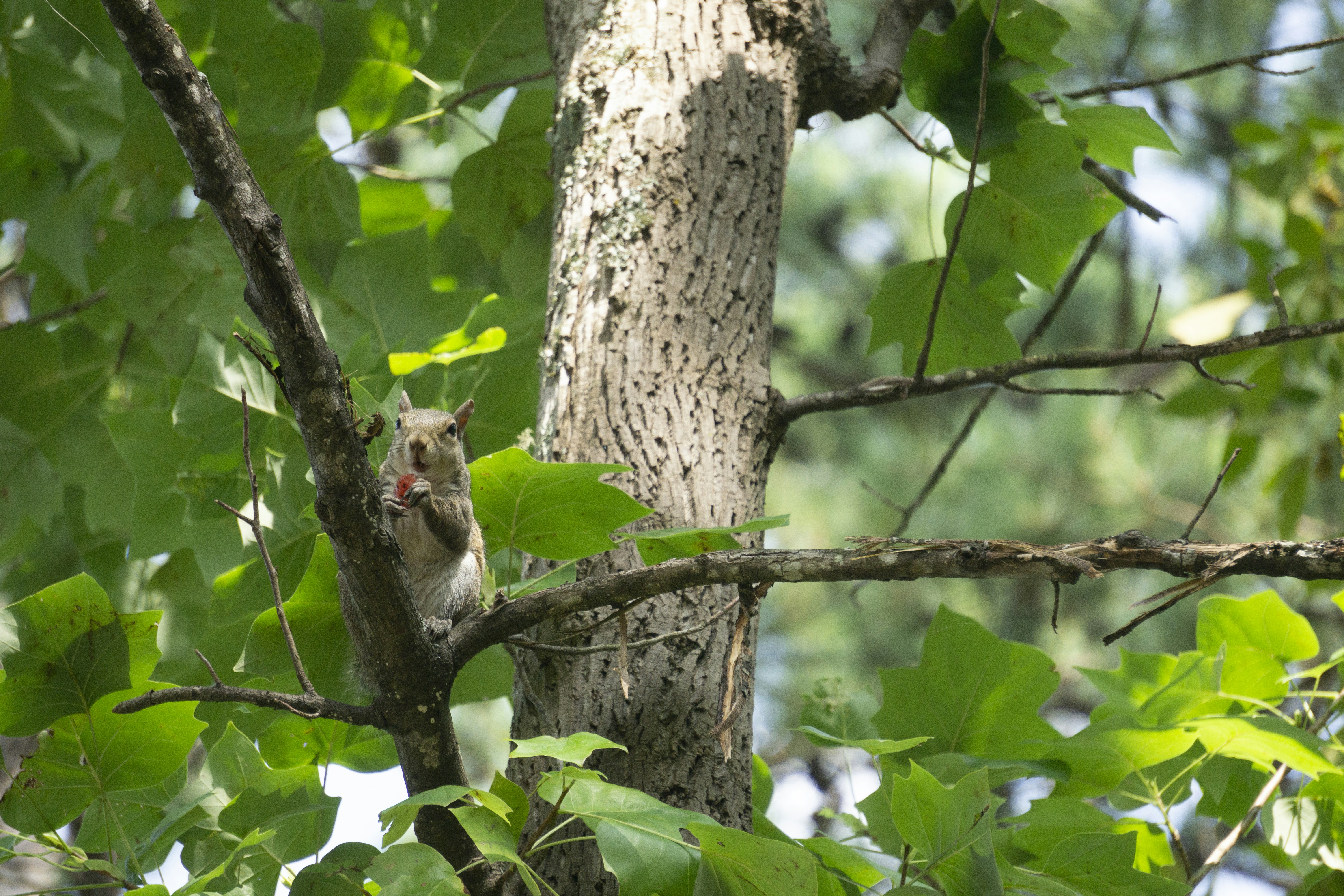 Photo by elinpictures