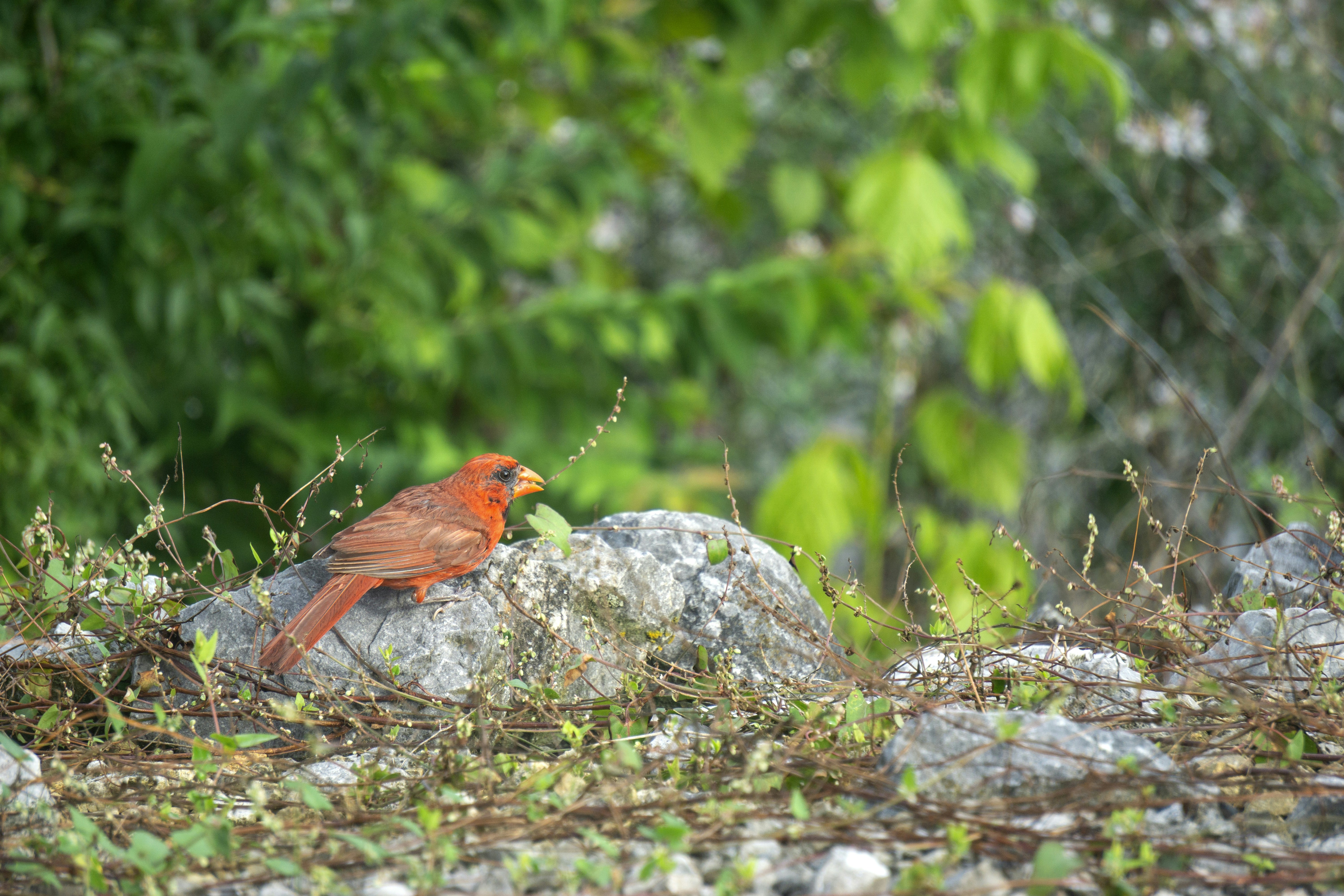 Photo by elinpictures