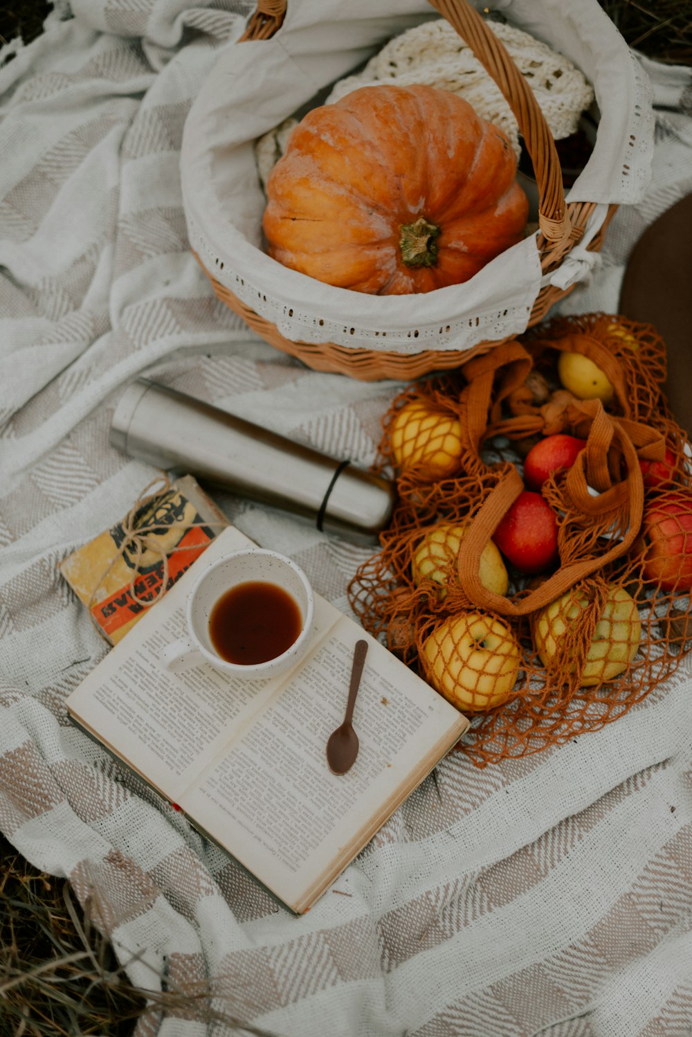 a basket of fruits and a book