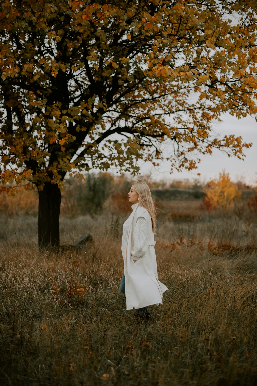Una persona in piedi in un campo con un albero sullo sfondo
