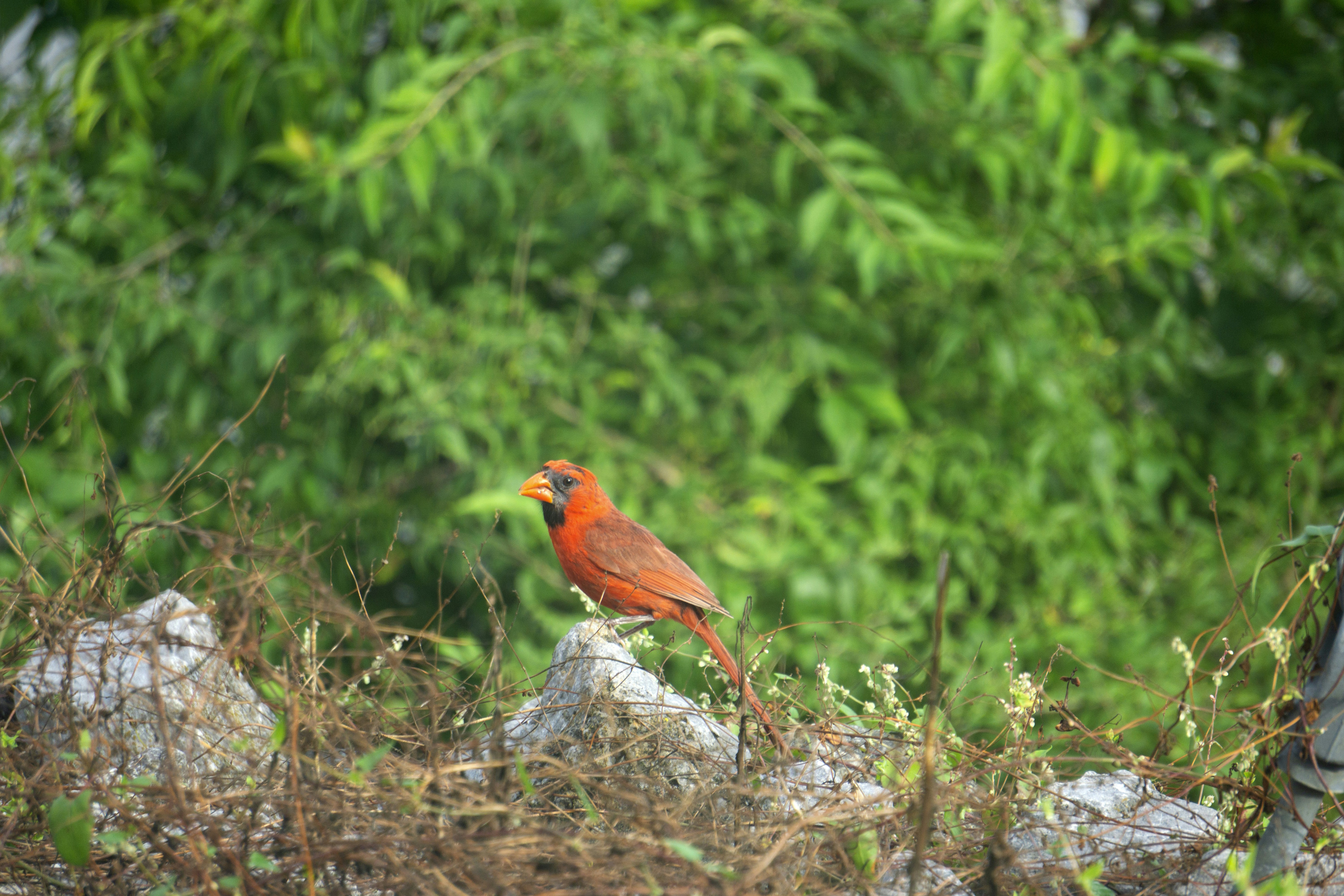 Photo by elinpictures