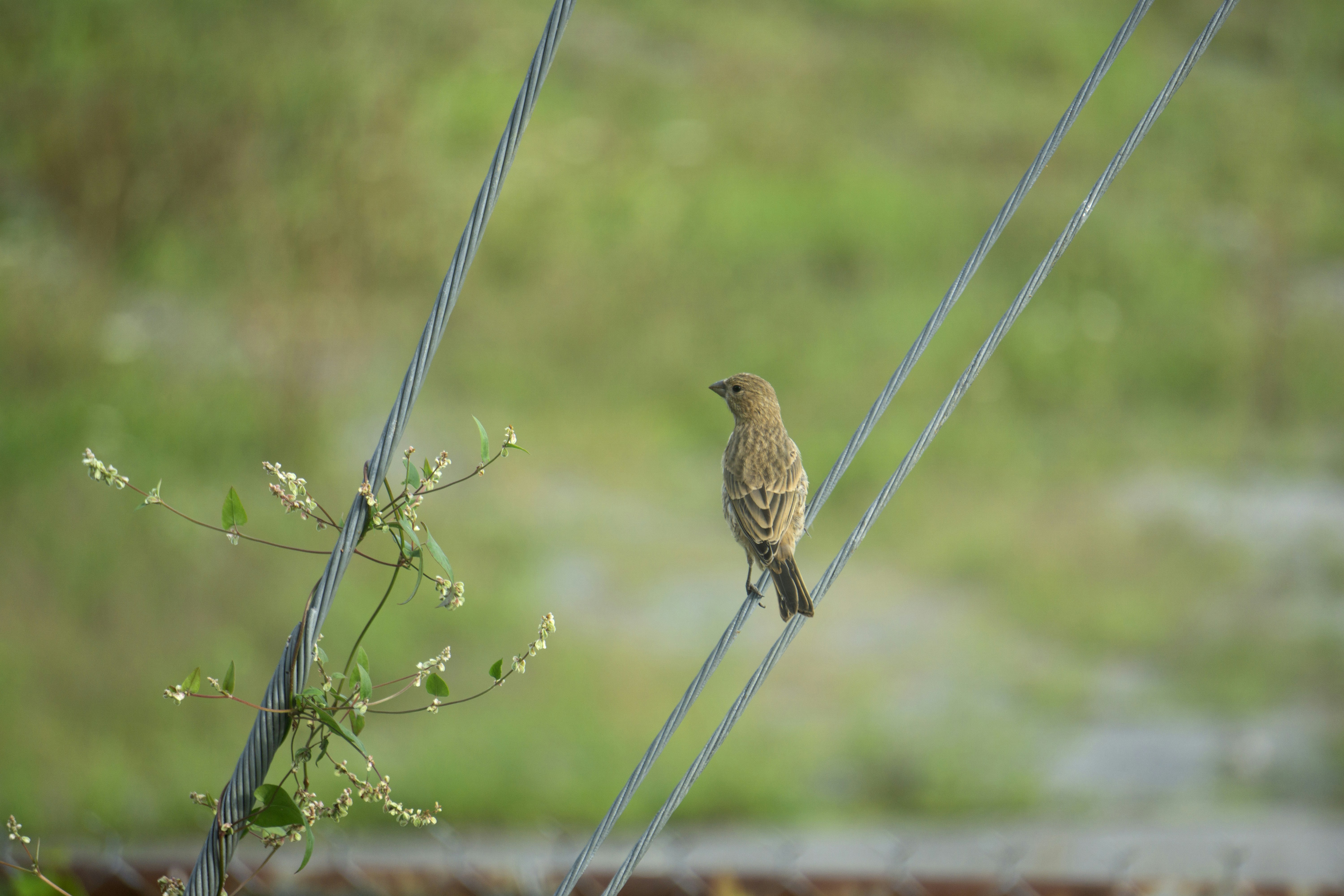 Photo by elinpictures