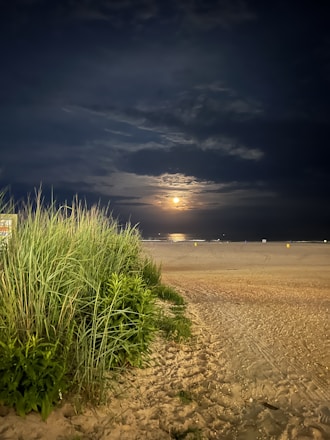 A serene moonlit beach symbolizing the nurturing nature of Cancer.