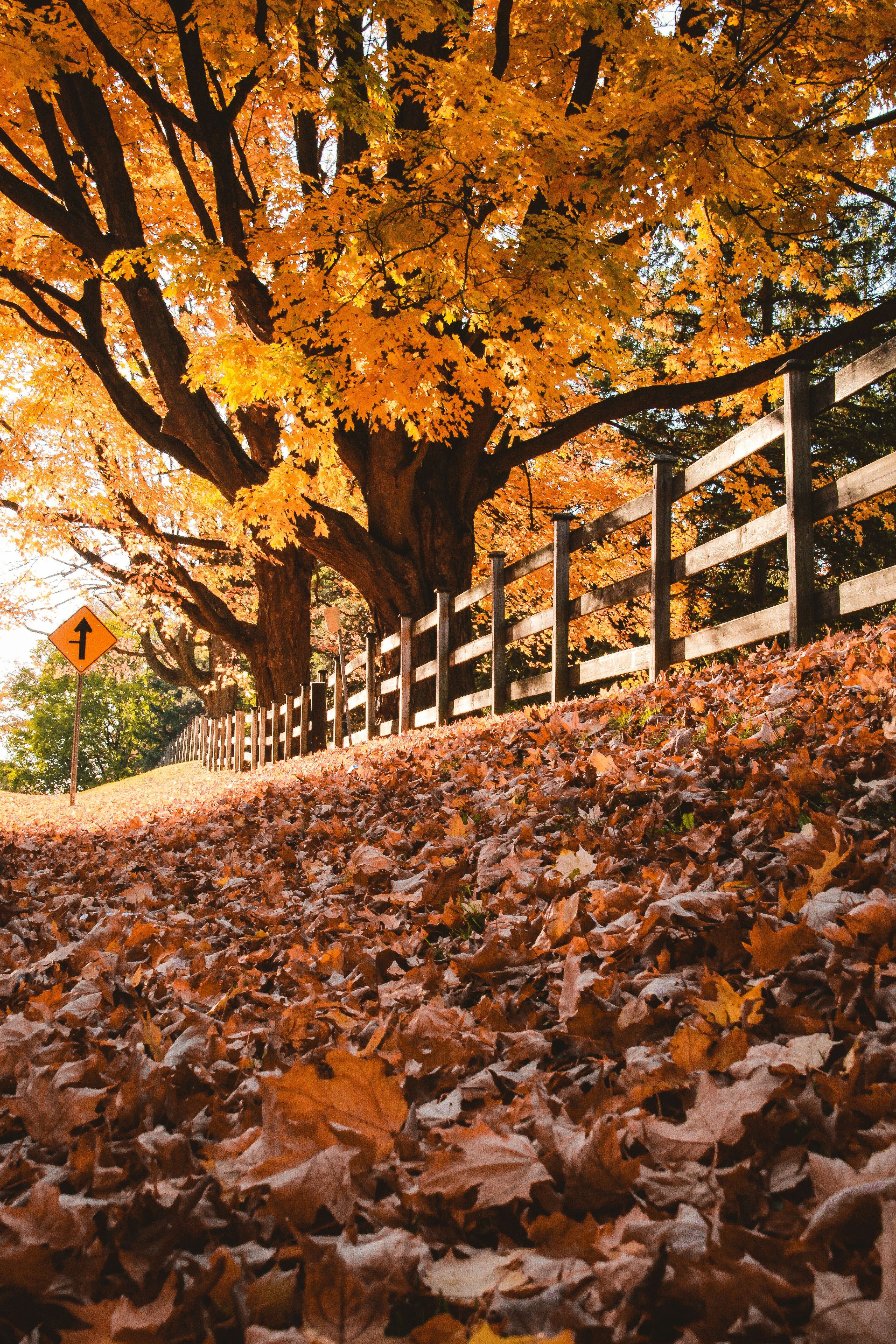 Photo by denleyphotography