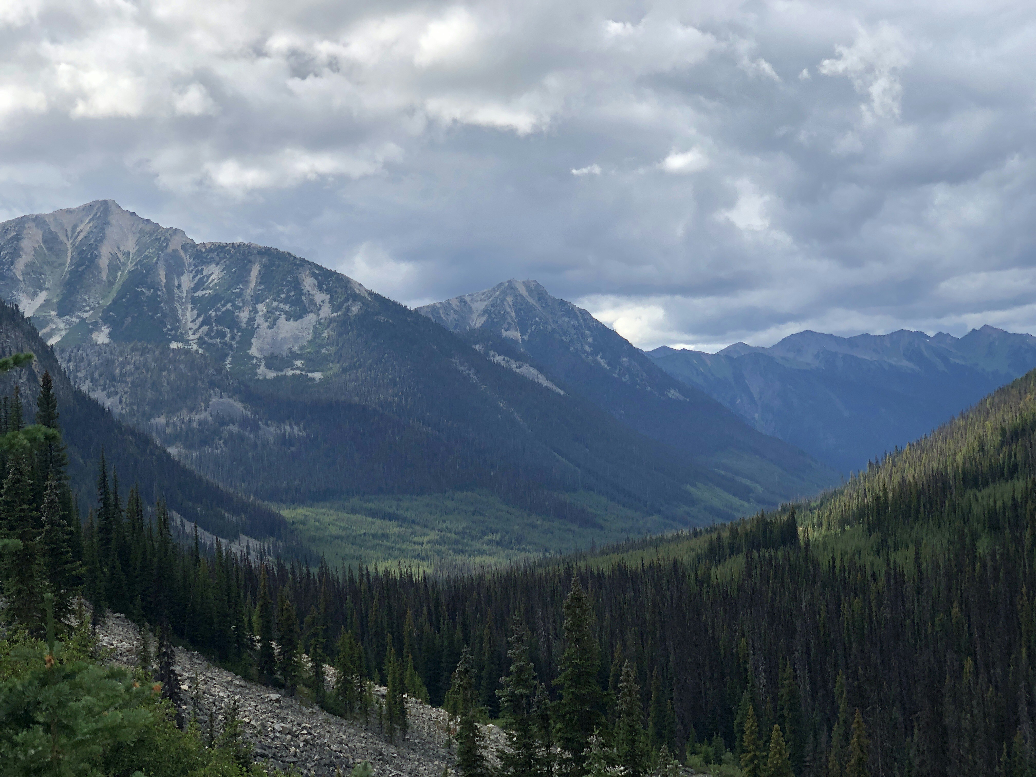 Photo by naturelensephotographer