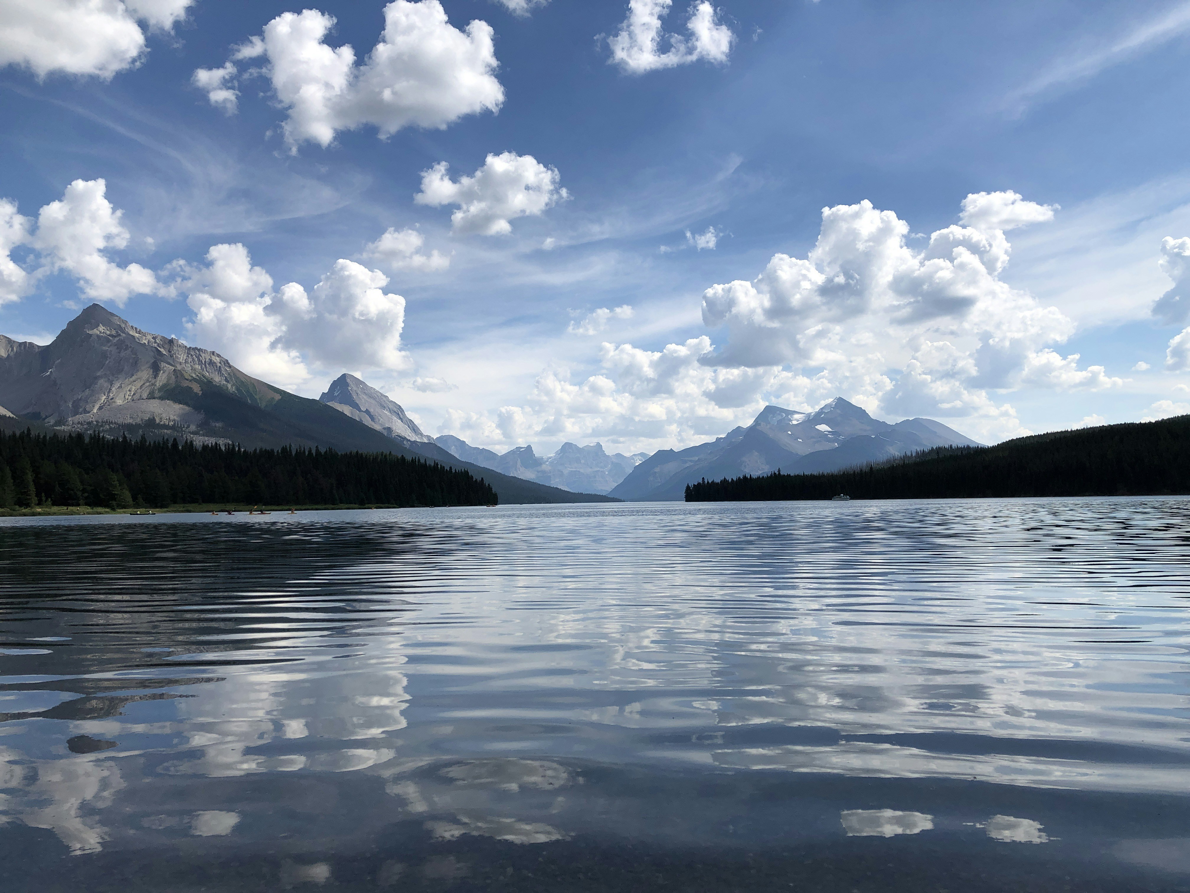 Photo by naturelensephotographer