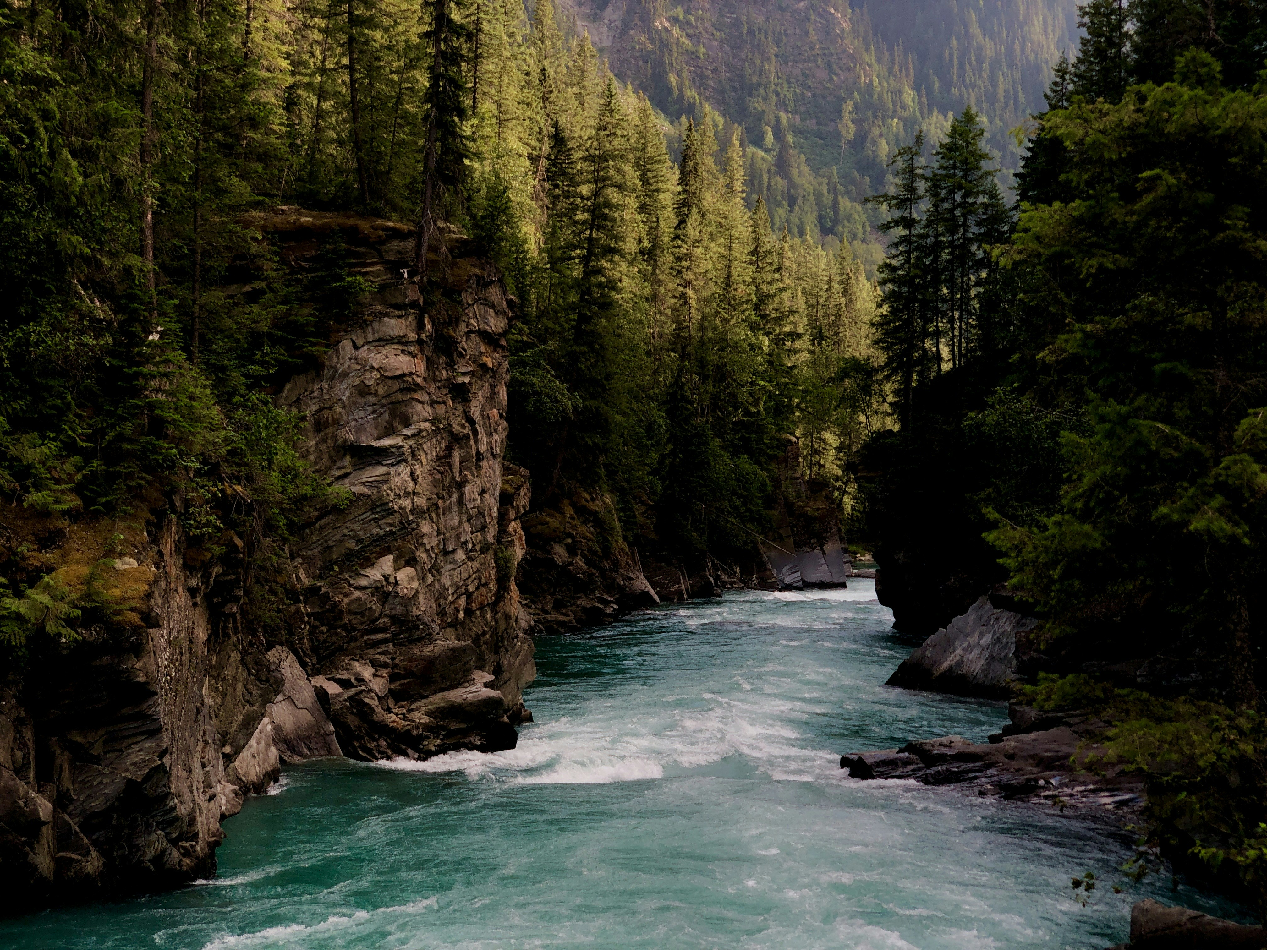 Photo by naturelensephotographer