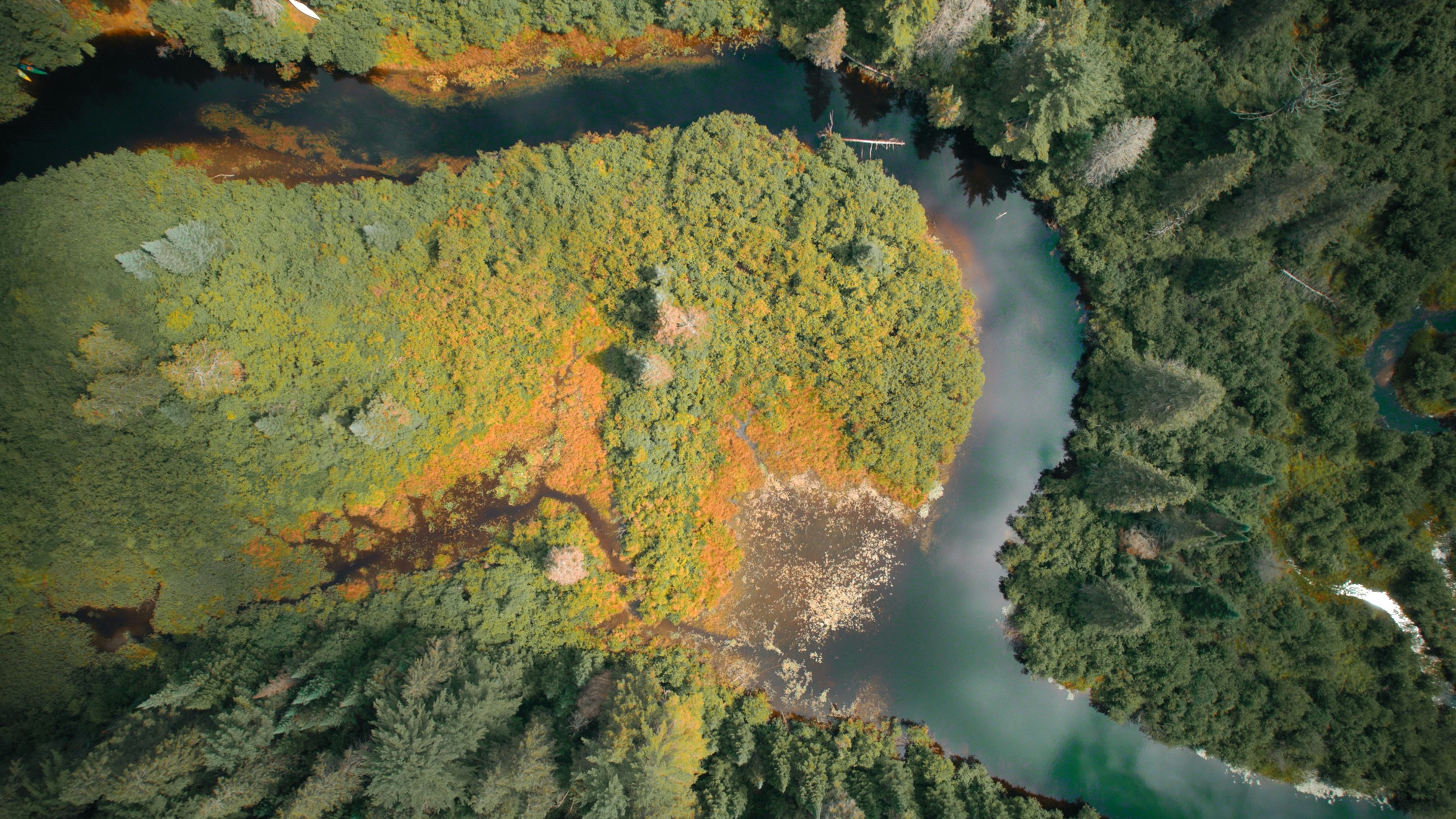 Photo by naturelensephotographer