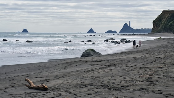 a group of people walking on a beach