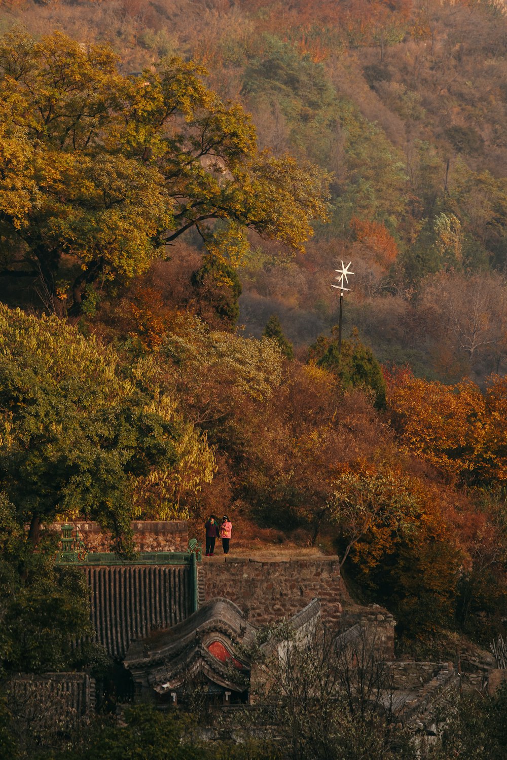 a group of people walking on a path in a forest