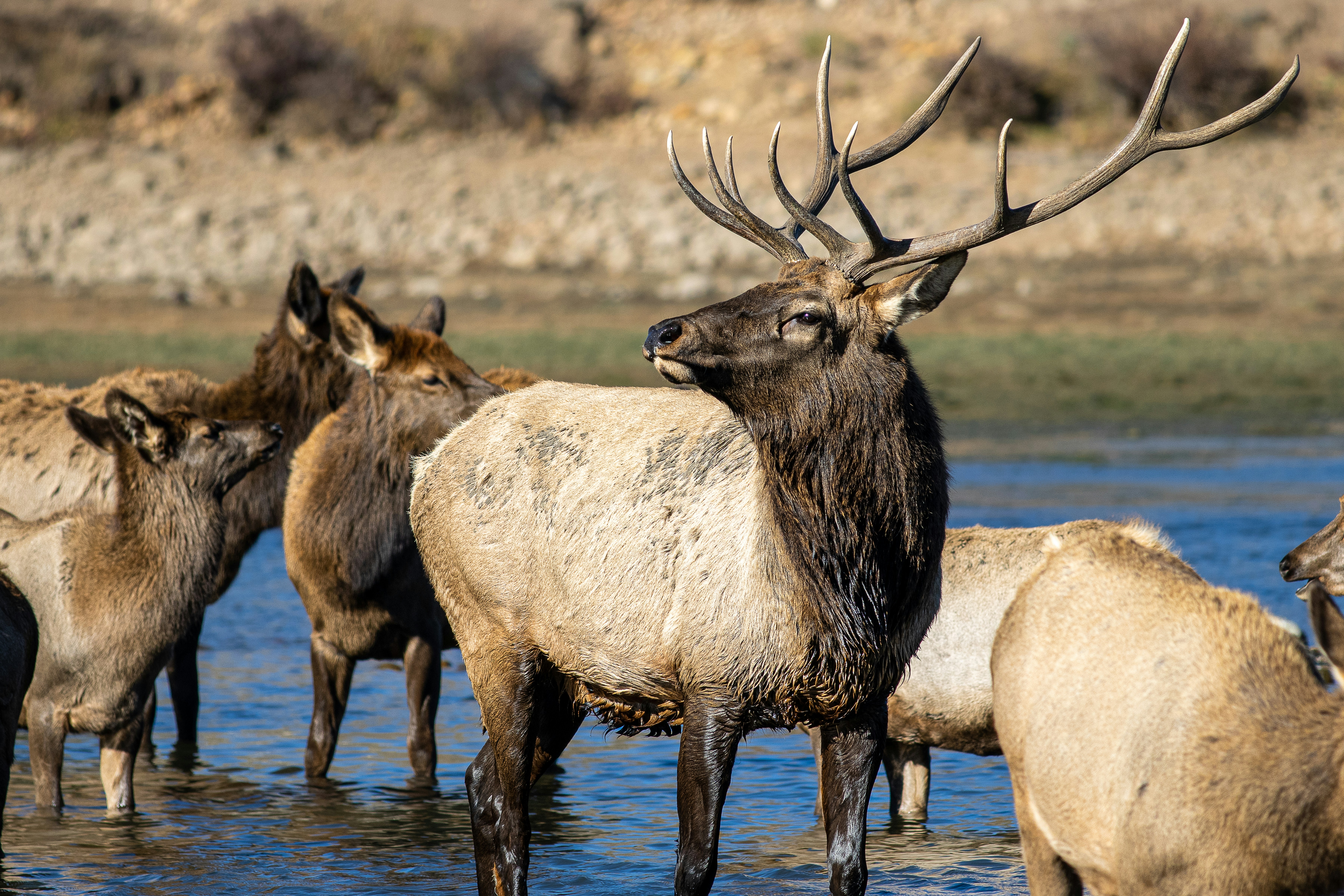 Photo by hitthetrailjack