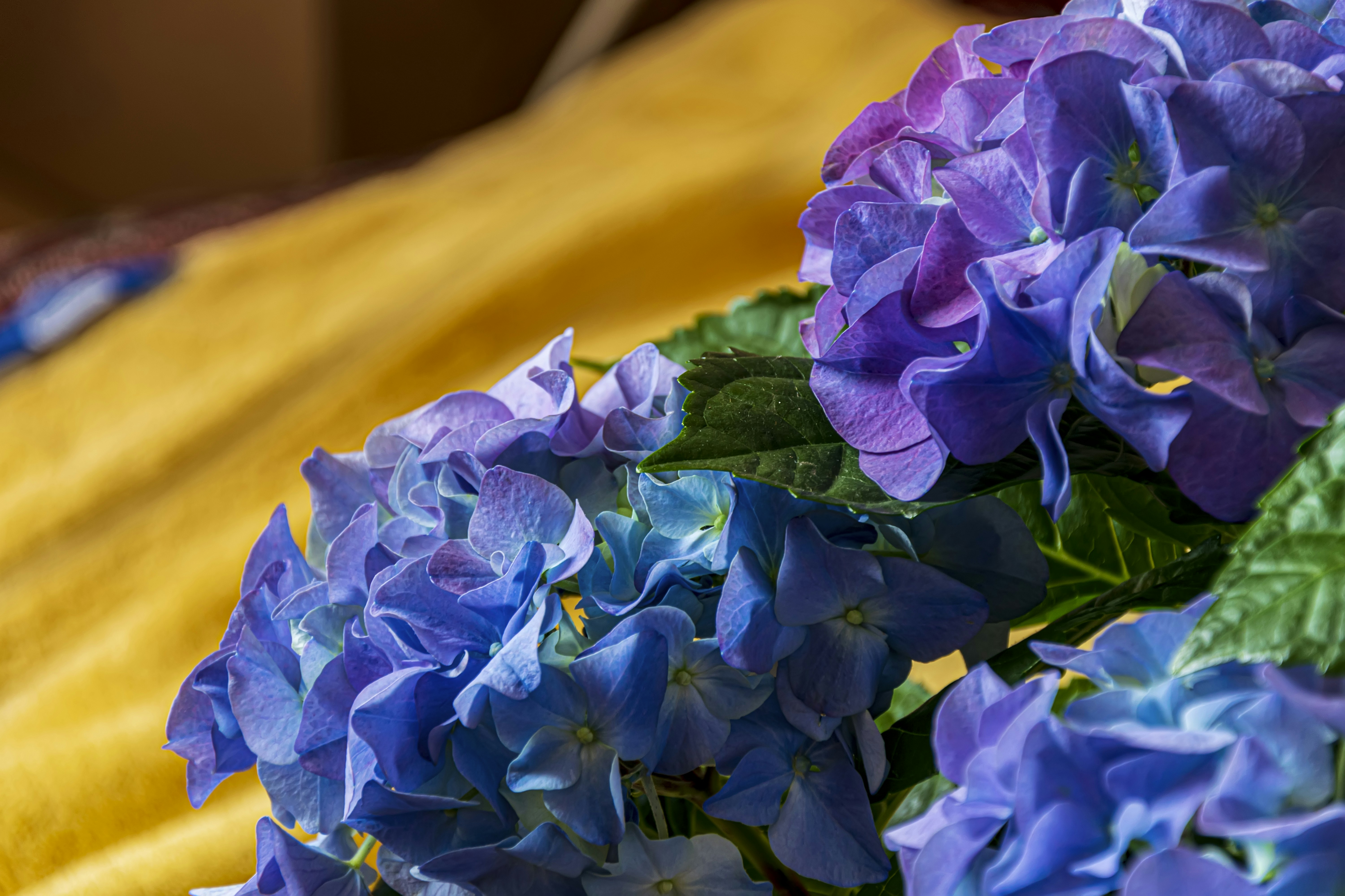 Photo by kostiantynvierkieiev