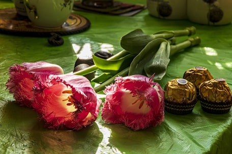 On a green surface, two vibrant pink tulips with fringed petals lay next to three wrapped chocolates. The lighting gives a warm and inviting feel, highlighting the colors and textures of the flowers and chocolates.