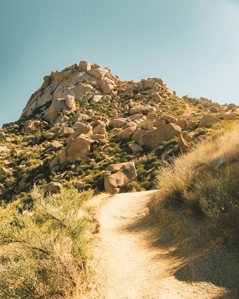 a rocky hill with bushes and grass